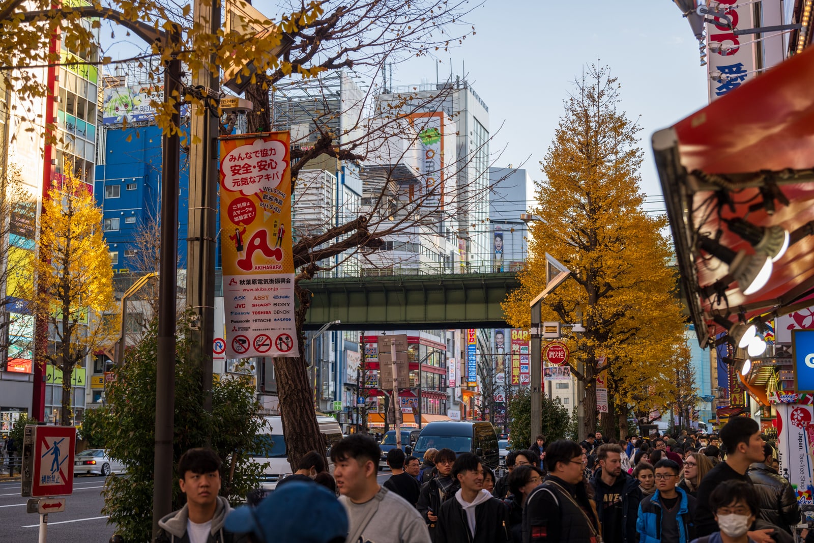 An Akihabara street in autumn, yellow ginkgo trees and a crowd of pedestrians, a railway overpass in the distance