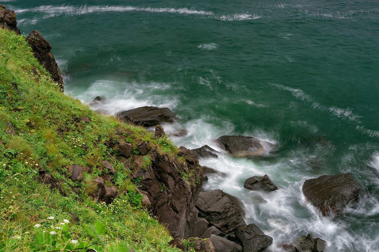 A grassy slope with white wildflowers above dark rocks and white surf in green sea water