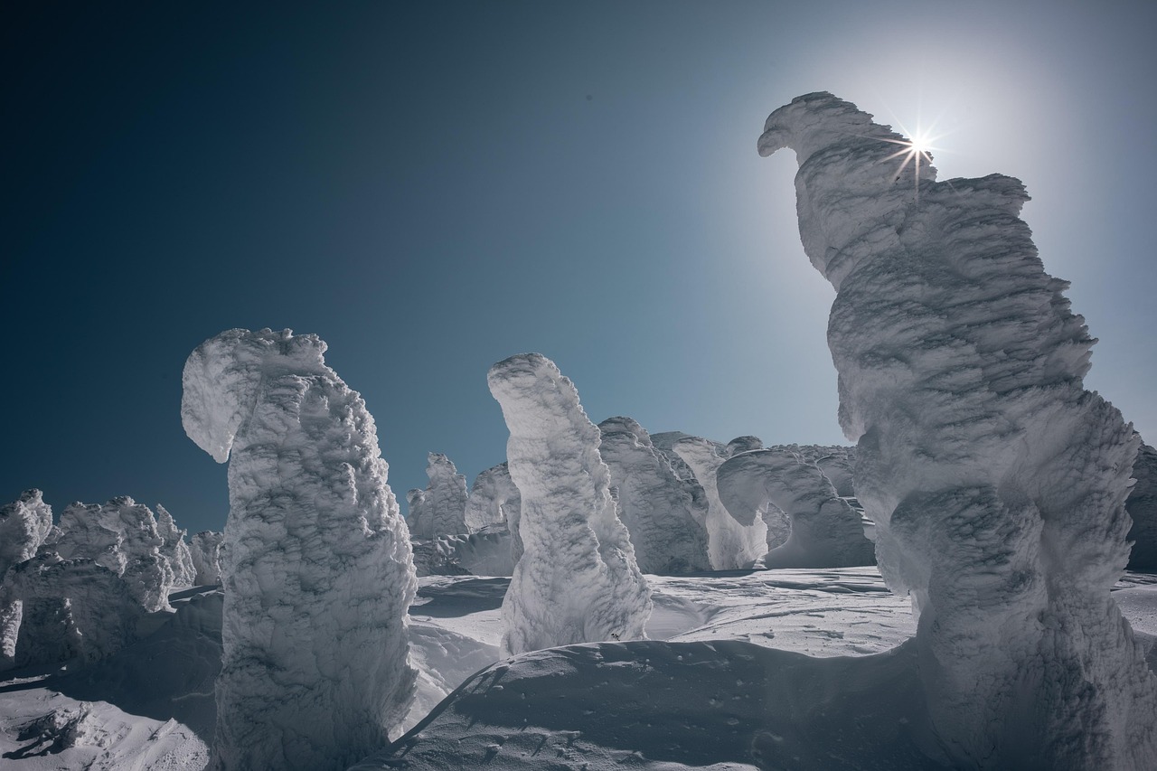 Rime-covered trees on a snowfield in the Hakkoda mountains in winter