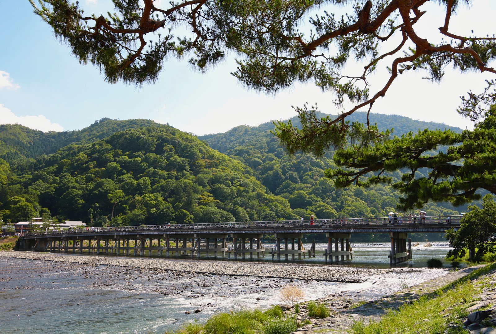 Togetsukyo bridge seen from the gravel riverbank under pine branches, green hills behind.