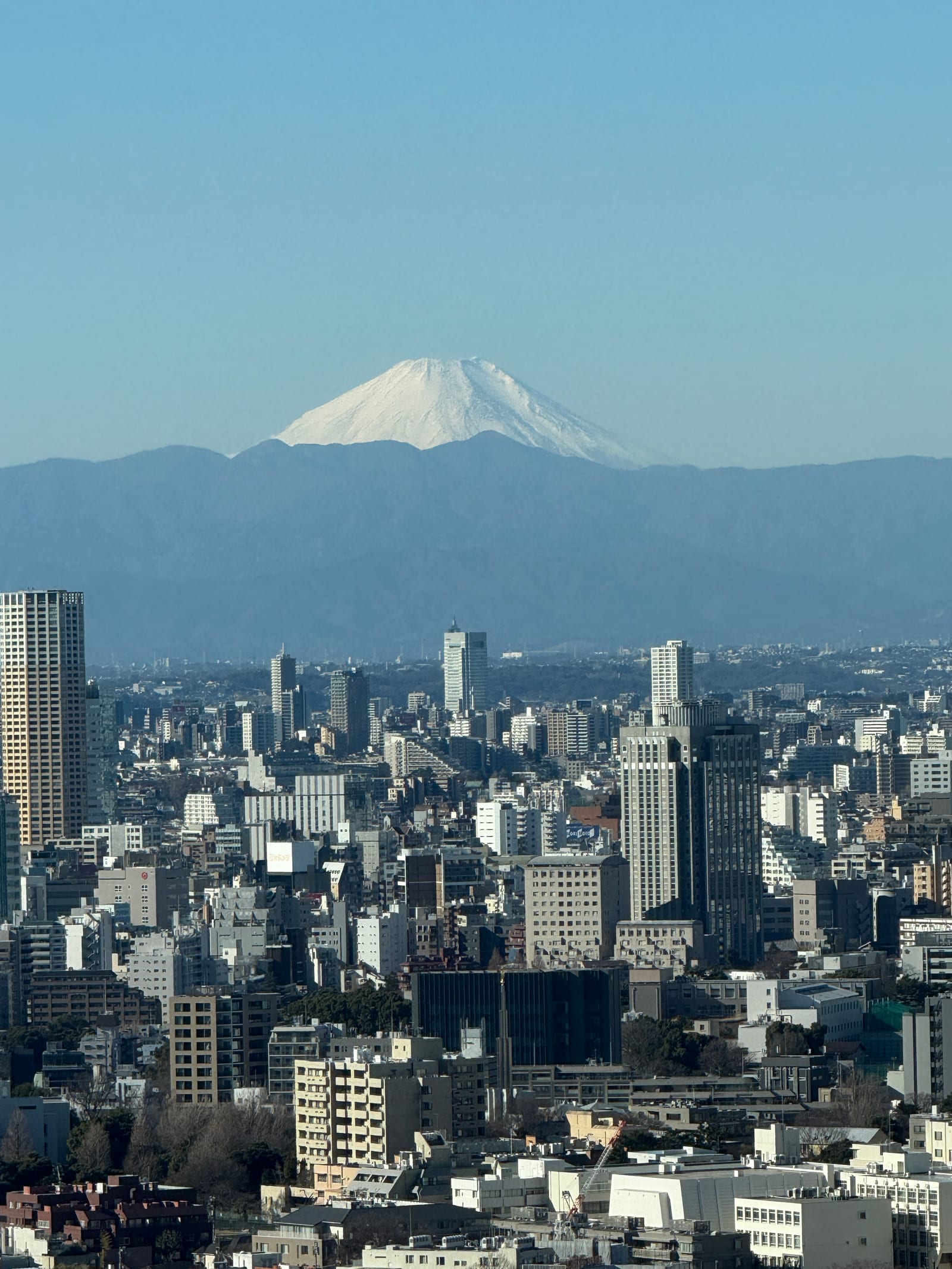 Mt Fuji above the western edge of Tokyo, seen from Tokyo Tower.