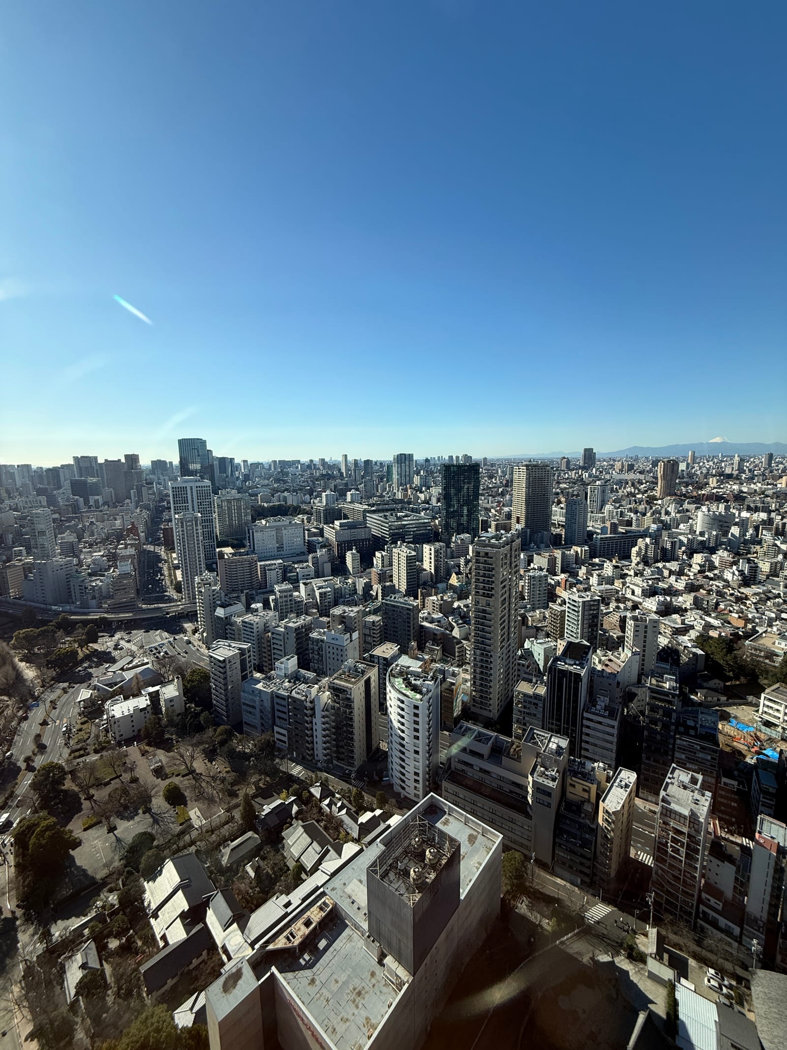 Central Tokyo spreading to the horizon from Tokyo Tower's Main Deck.