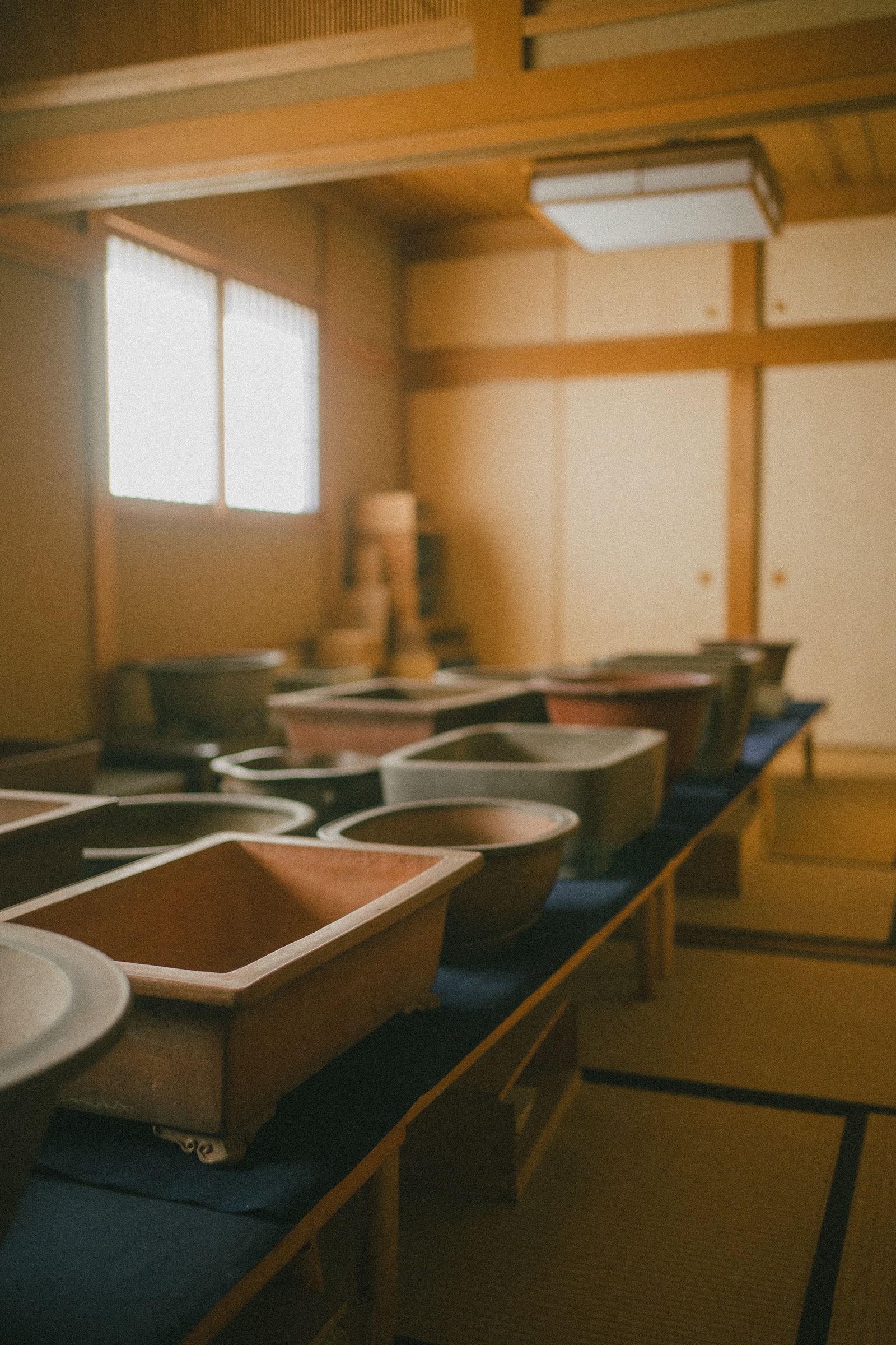 Rows of unglazed ceramic pots and planters on low benches in a tatami-floored workshop room with shoji screens.