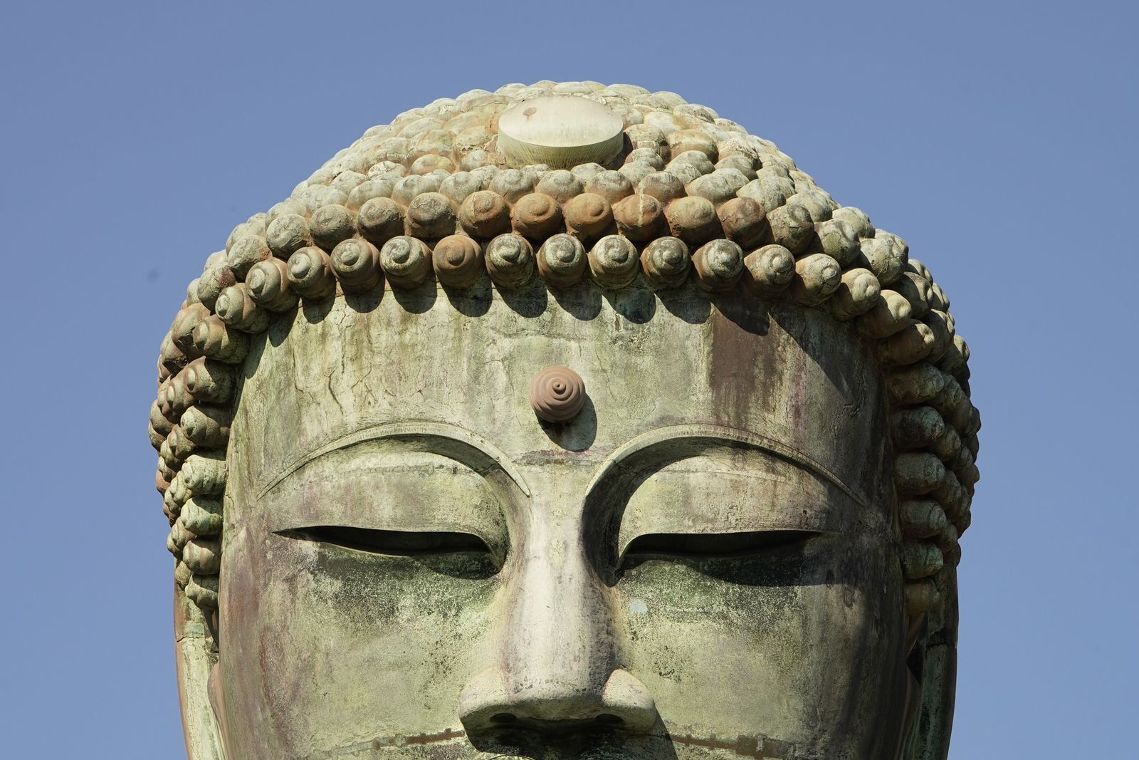 The bronze face and tightly curled hair of the Great Buddha at Kotoku-in, Kamakura, against a clear blue sky.