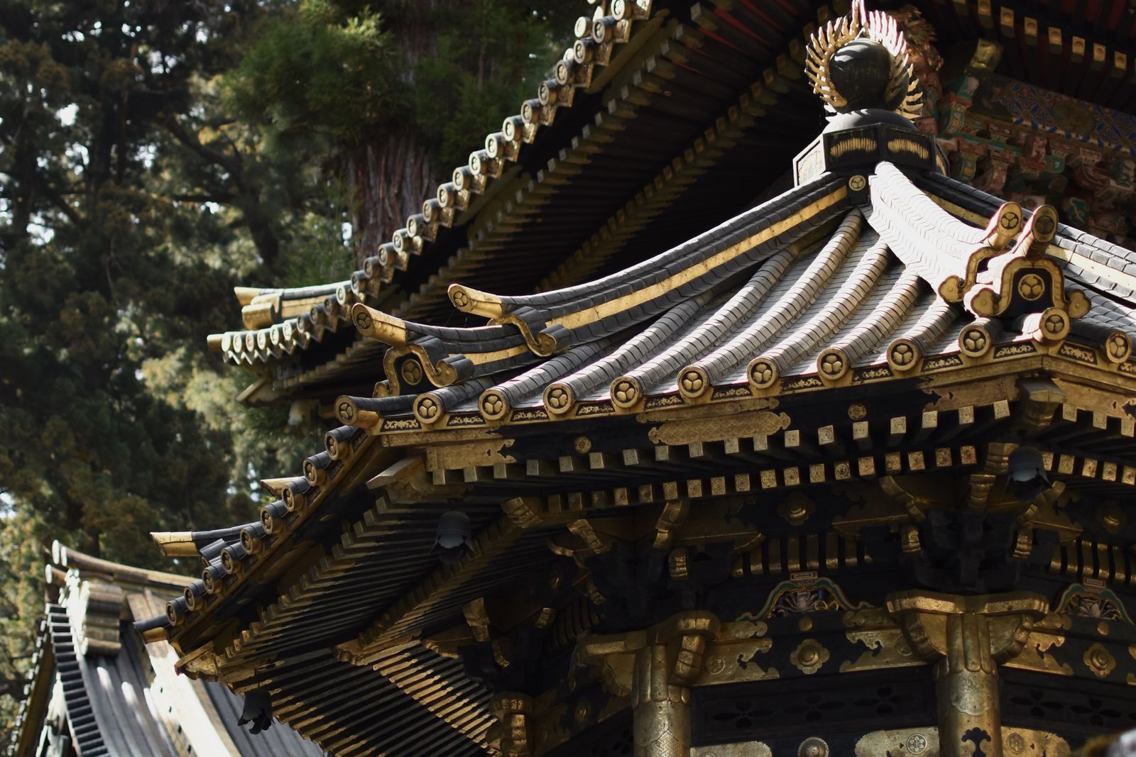 Gilded black-lacquer roof eaves and gold brackets of a Toshogu building at Nikko, cedars behind.