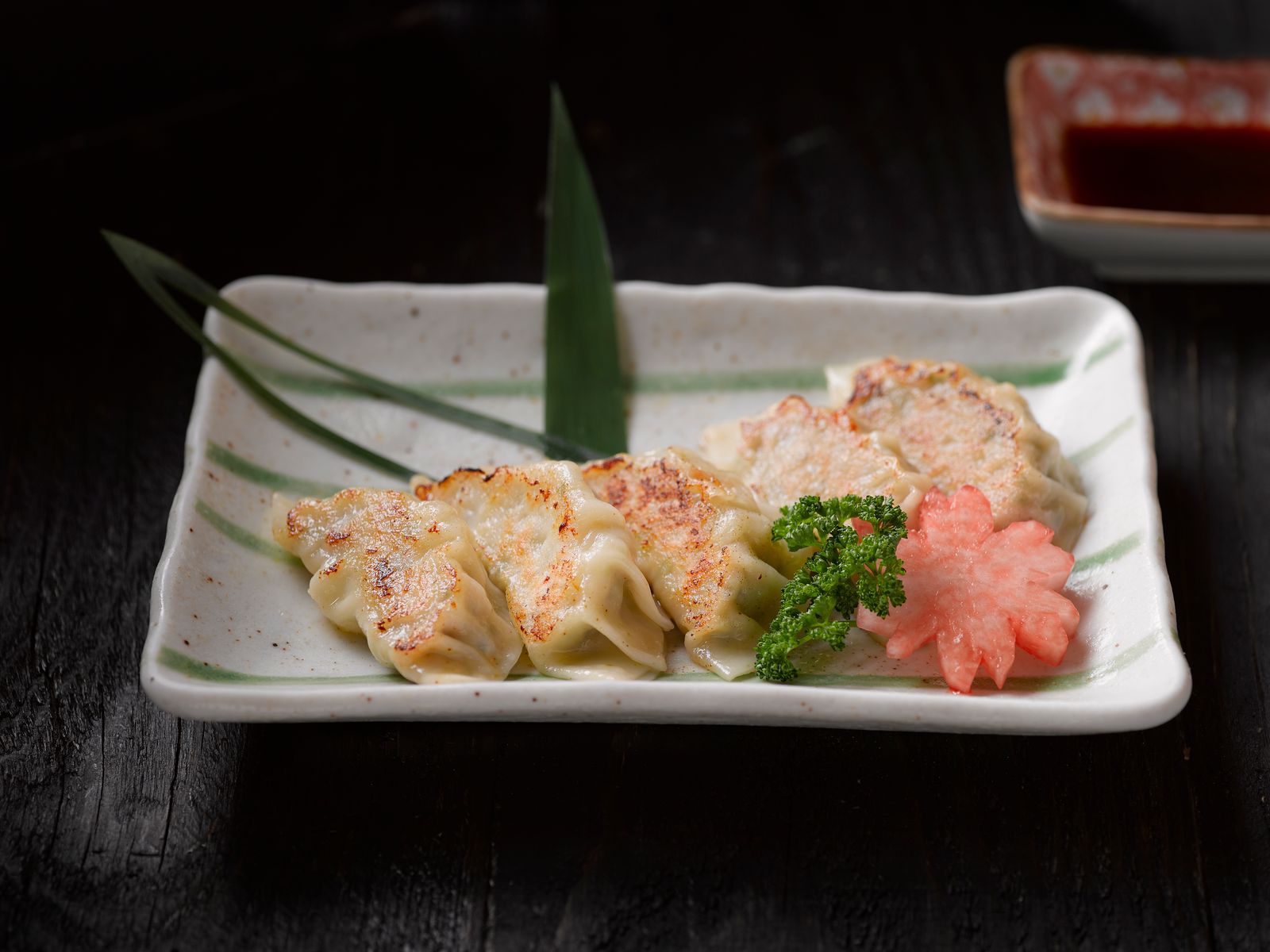 Pan-fried gyoza arranged on a ceramic plate, browned on one side.