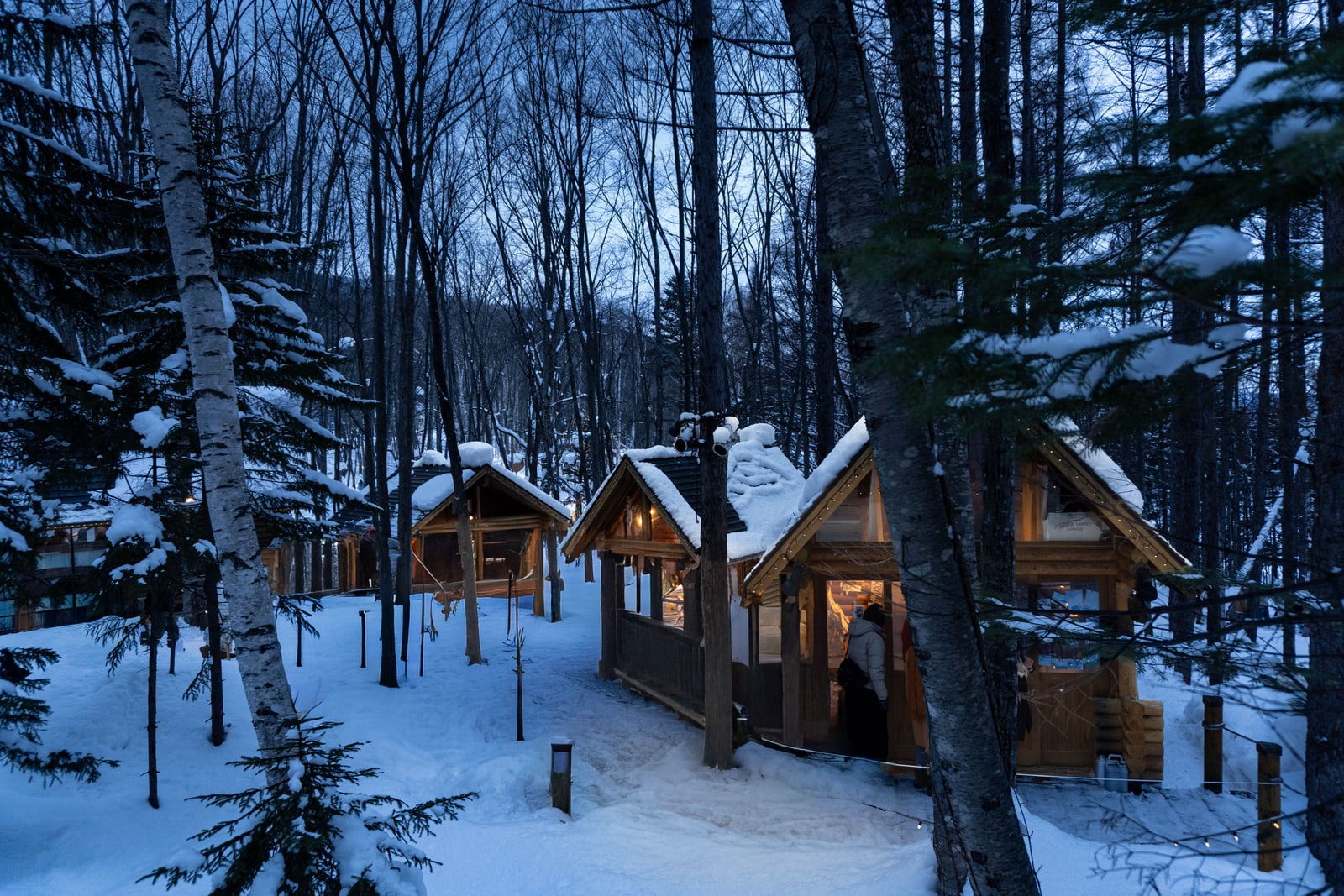 Small log cabins with lit windows and snow on their roofs among bare trees at dusk