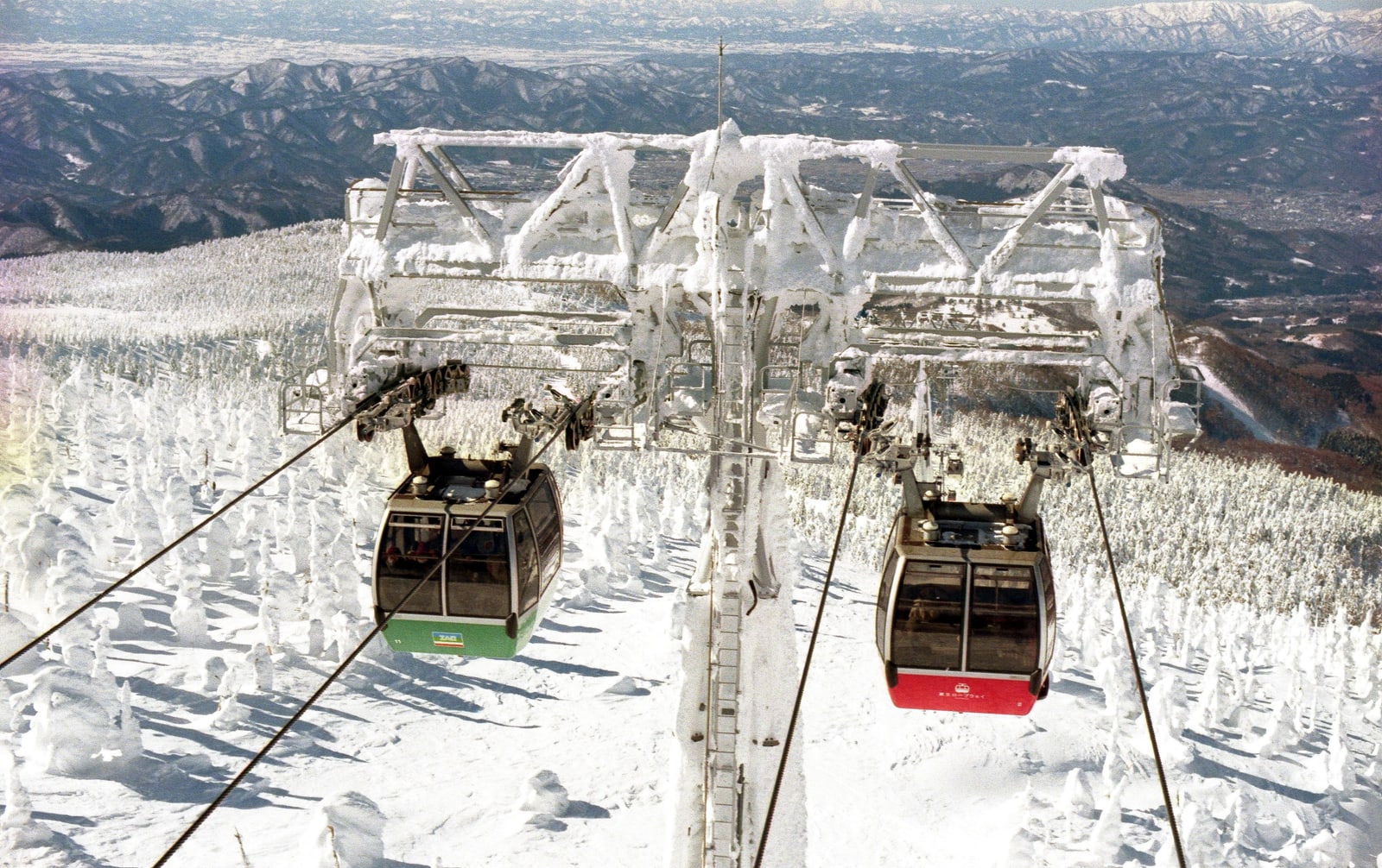 Two gondola cabins, one green and one red, passing under an ice-coated lattice tower above rime-covered trees and mountains.