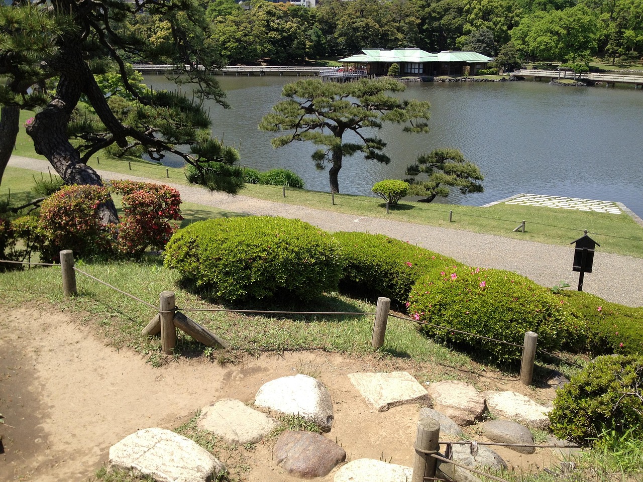 A pond with black pines and a green-roofed teahouse on the far shore, seen from a rope-fenced path above azalea shrubs