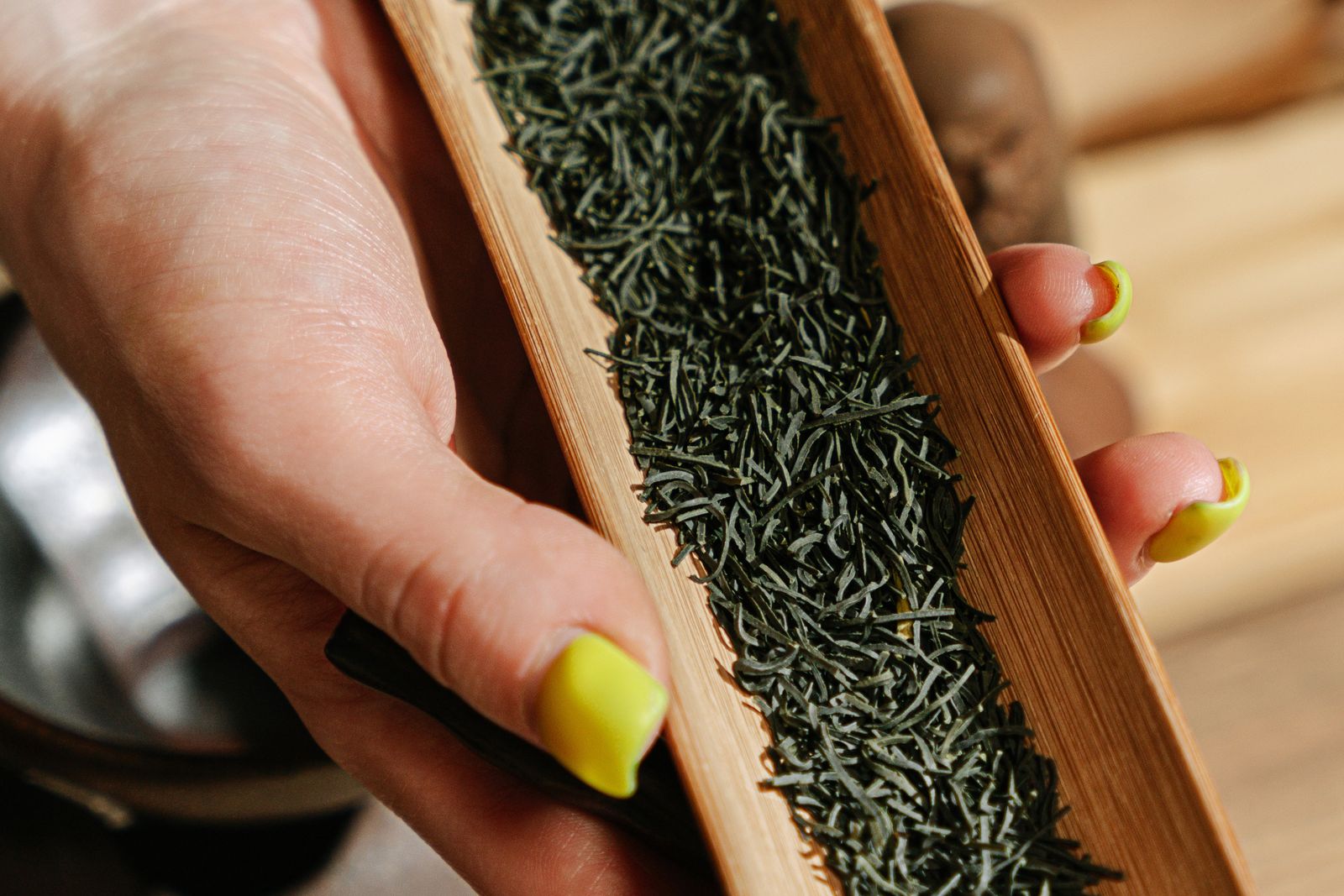 A hand holding a long bamboo tea measure filled with dark green dry leaf, its fine needle shape clearly visible.