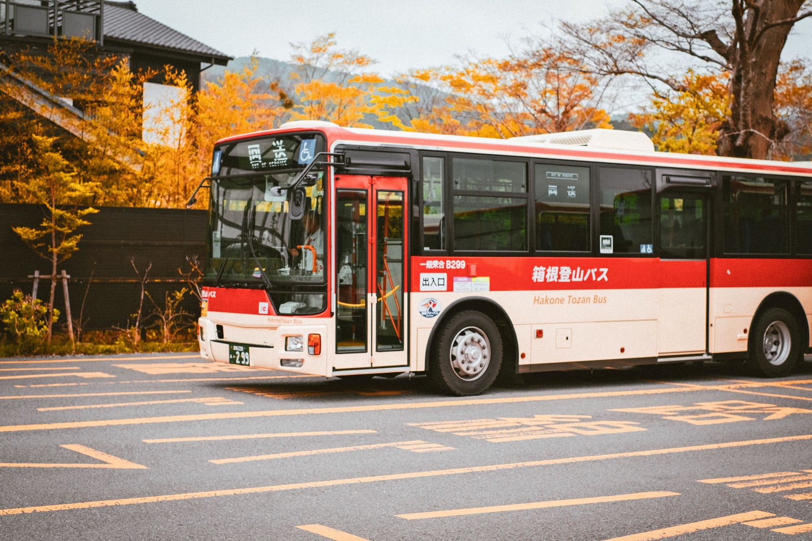 A red and cream Hakone Tozan Bus in a parking bay among autumn-yellow trees