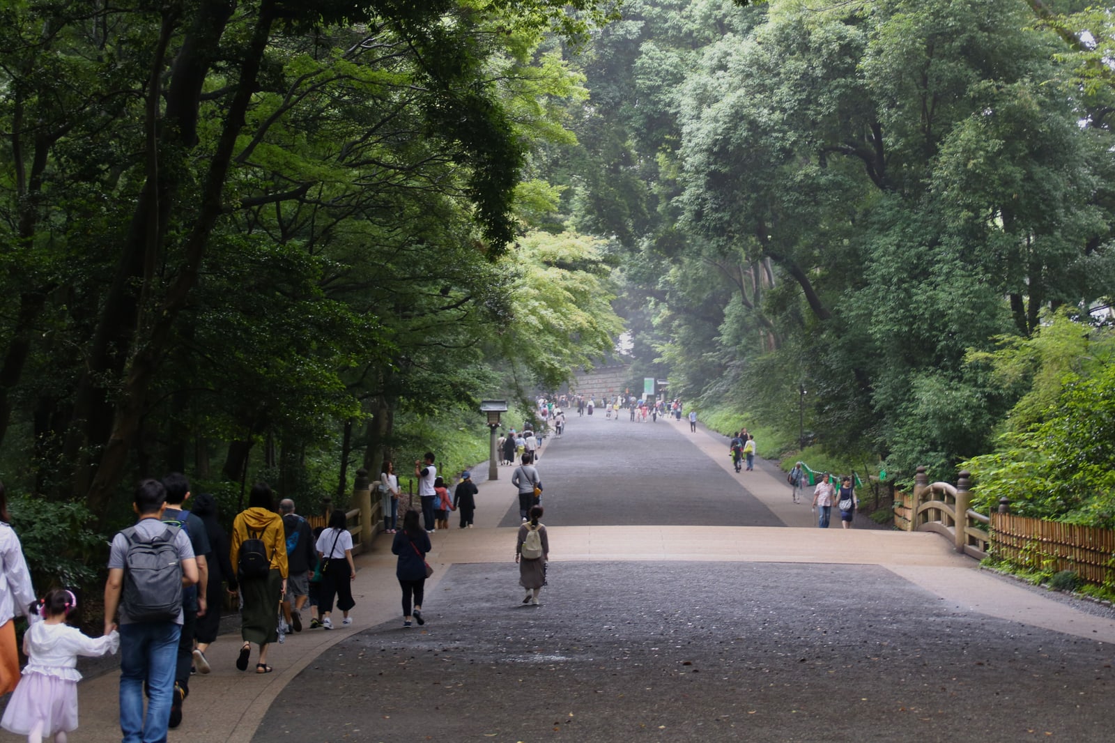 A wide tree-lined gravel path at Meiji Shrine with visitors walking and a small wooden bridge at the right