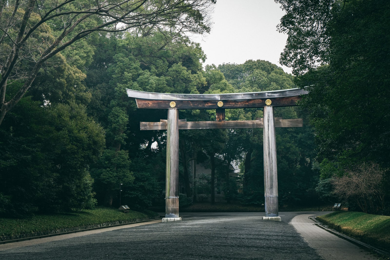 A large wooden torii at Meiji Jingu over a gravel approach between dense trees, three gold emblems on the upper crossbeam, overcast sky