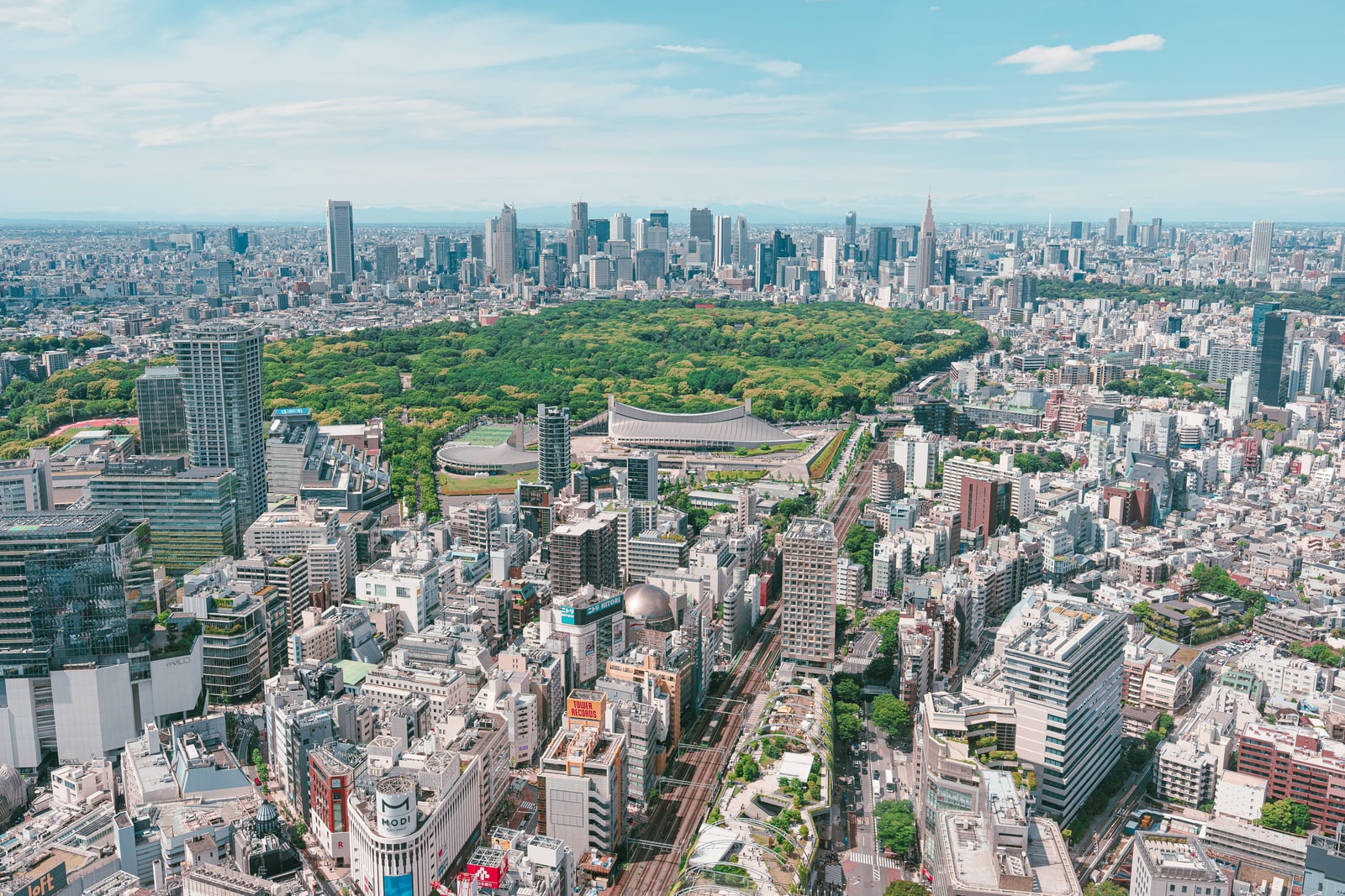 Yoyogi Park from above, a broad forest beside dense city blocks with skyscrapers on the horizon