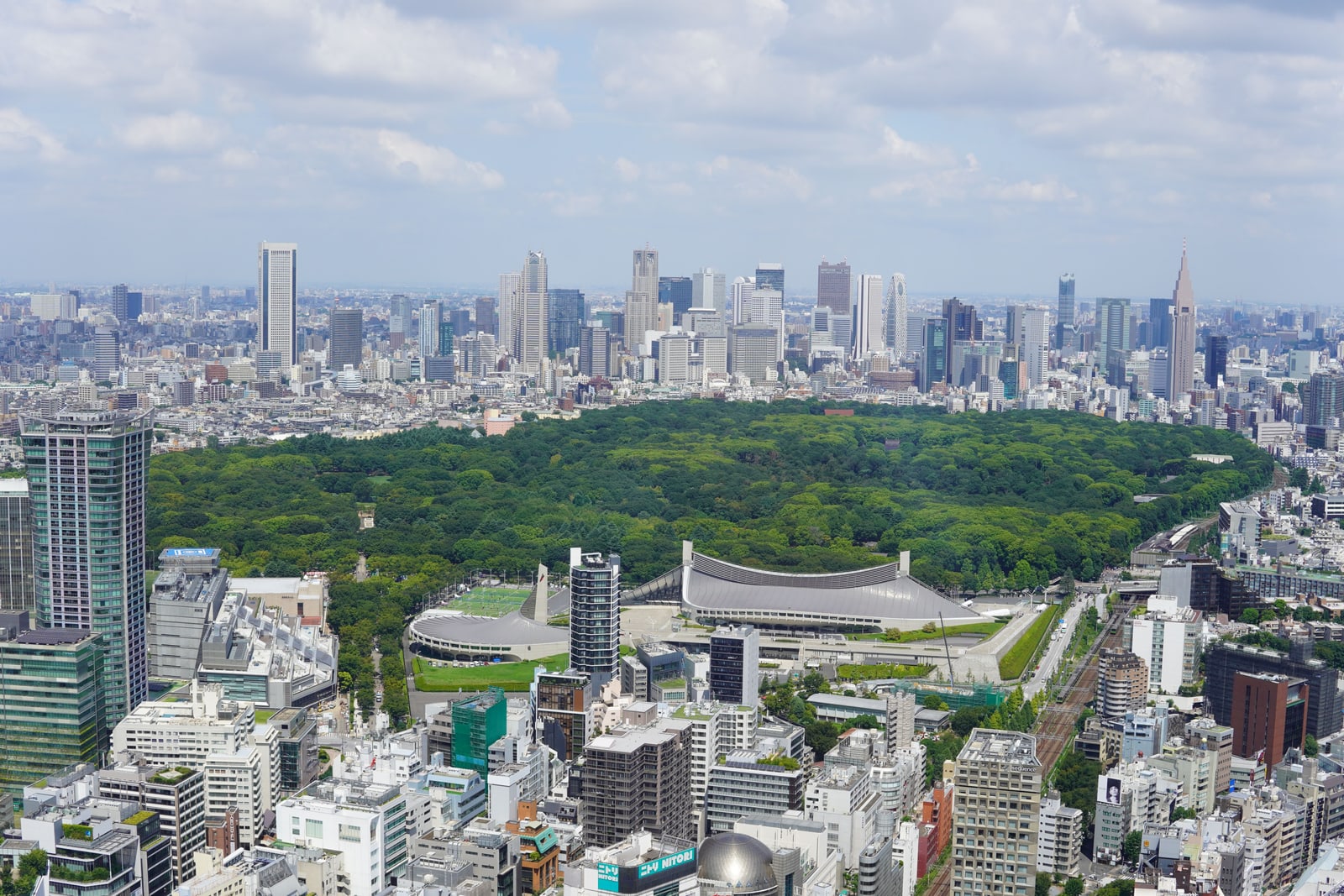 Yoyogi Park in summer green seen from above, a large curved-roof sports hall at its edge, city blocks in front and skyscrapers beyond under cloud
