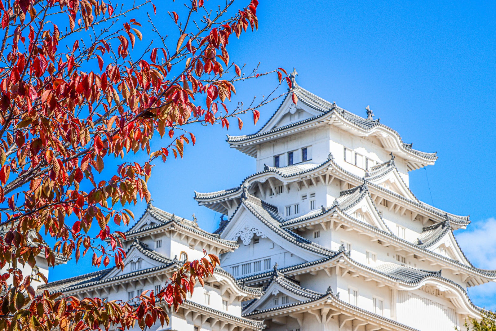 The white tiered keep of Himeji Castle against a clear blue sky, red autumn leaves across the left of the frame.
