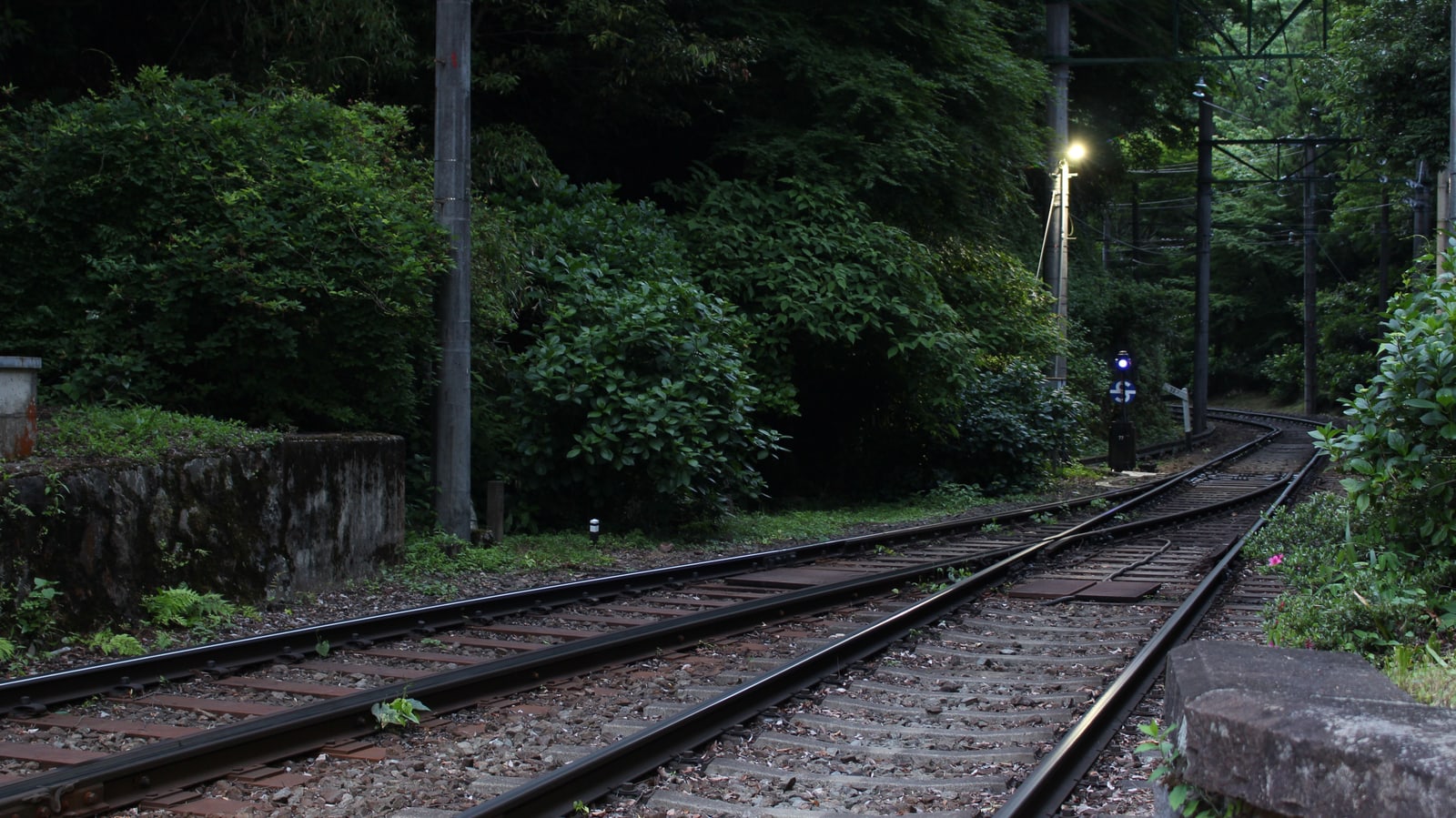 Railway tracks with a junction curving into dense green forest in Hakone, a lamp and a signal lit at dusk.