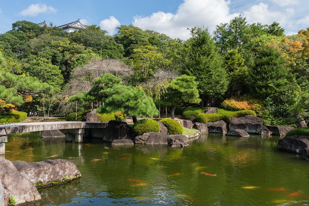 A koi pond at Koko-en with a low stone bridge and clipped shrubs, the white walls and tiled roofs of Himeji Castle buildings above the trees