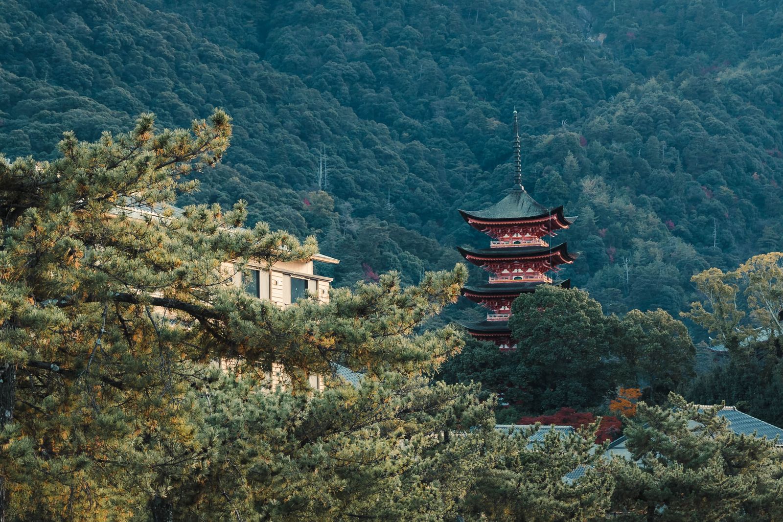 The vermilion five-storied pagoda on Miyajima rising out of pines against a forested slope, tiled roofs below.