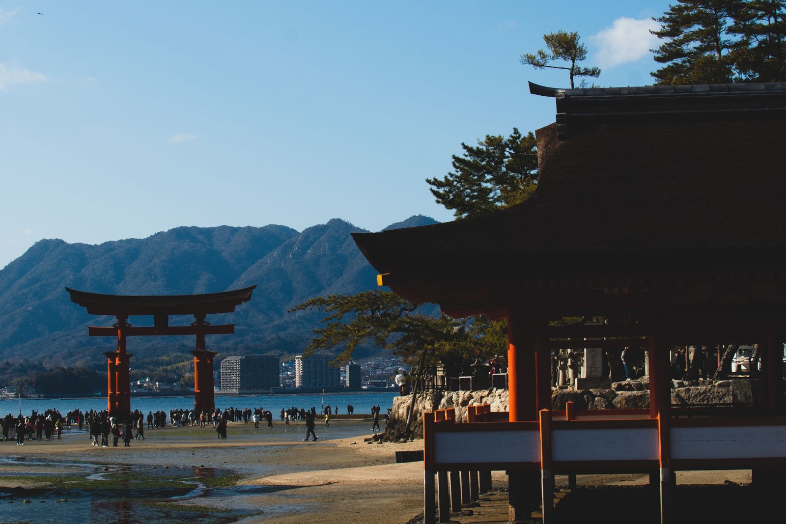 The great torii of Itsukushima Shrine off Miyajima at low tide, visitors walking out across the exposed flats under a low sun.