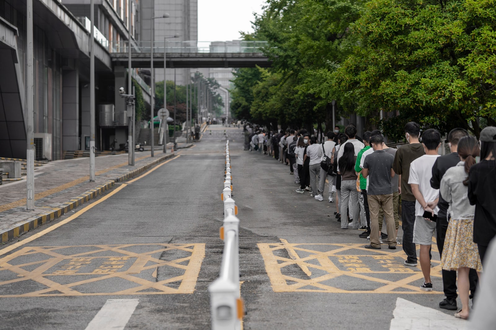 A long line of people waiting along a tree-lined city street, seen from behind.