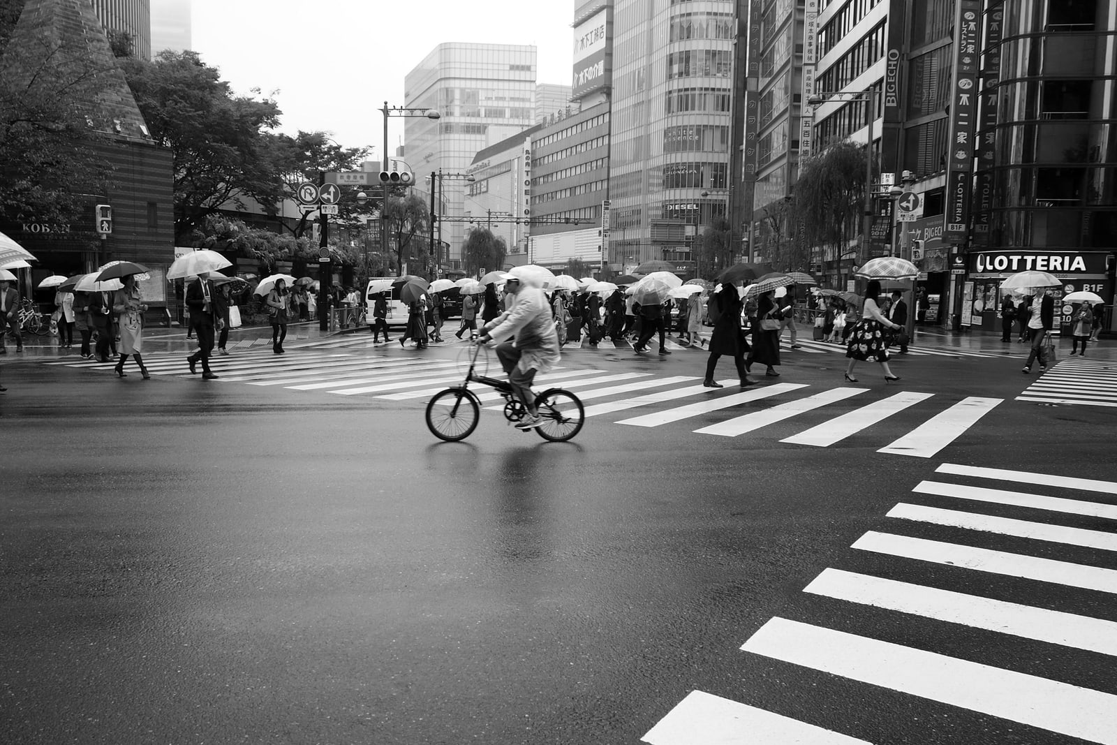 A black-and-white view of people with umbrellas crossing a wide city intersection in the rain, a cyclist in front.