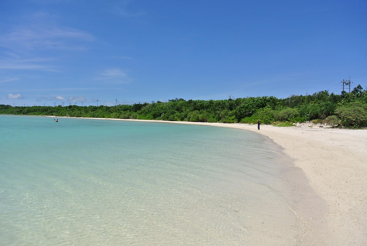 A white sand beach beside pale turquoise shallows, backed by green coastal shrubs under a blue sky