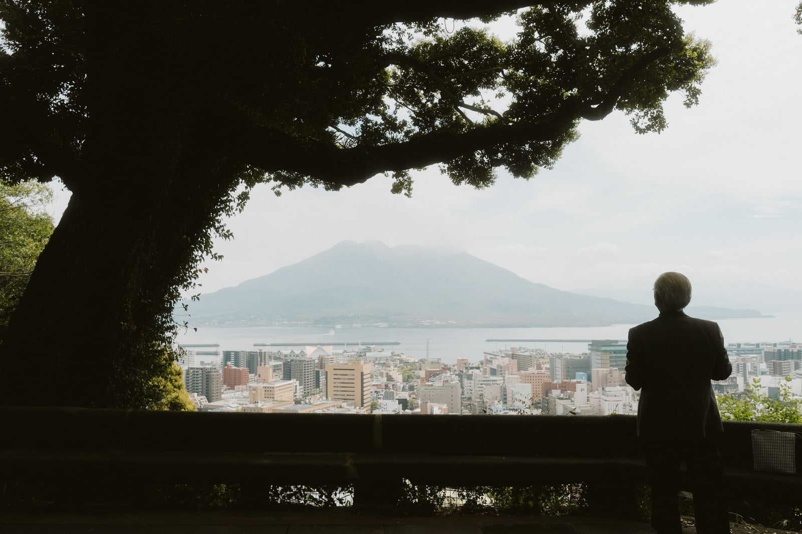 City buildings and the harbour below a hillside lookout, Sakurajima hazy across the bay
