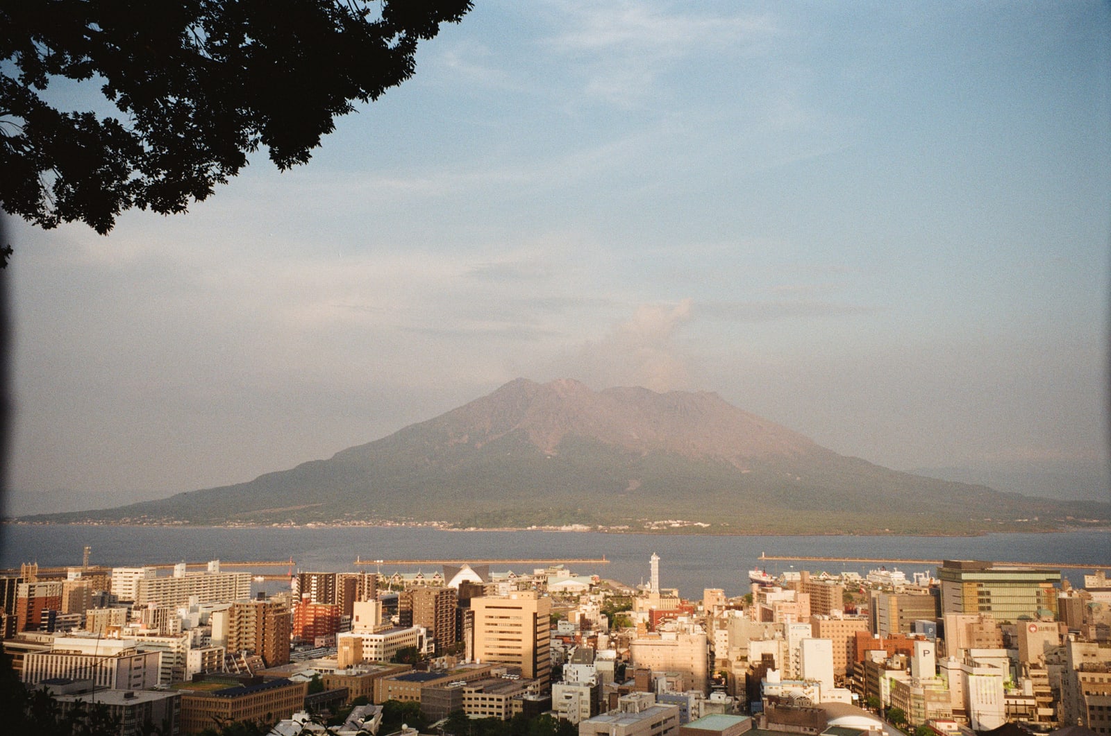Central Kagoshima from above in warm light, Sakurajima across the bay with a faint plume