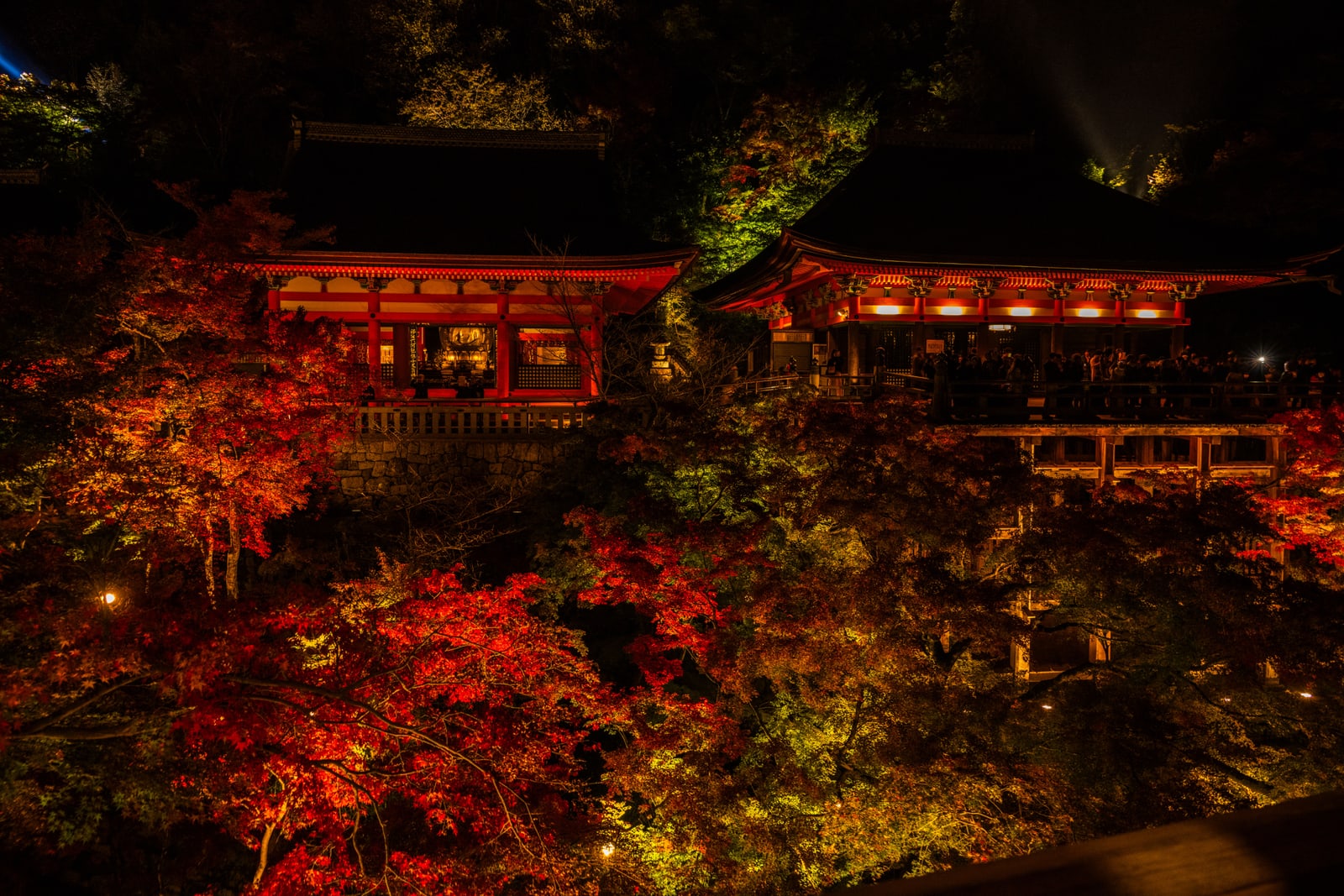 Lit temple halls on a wooded hillside at night above a mass of floodlit red and orange maples.