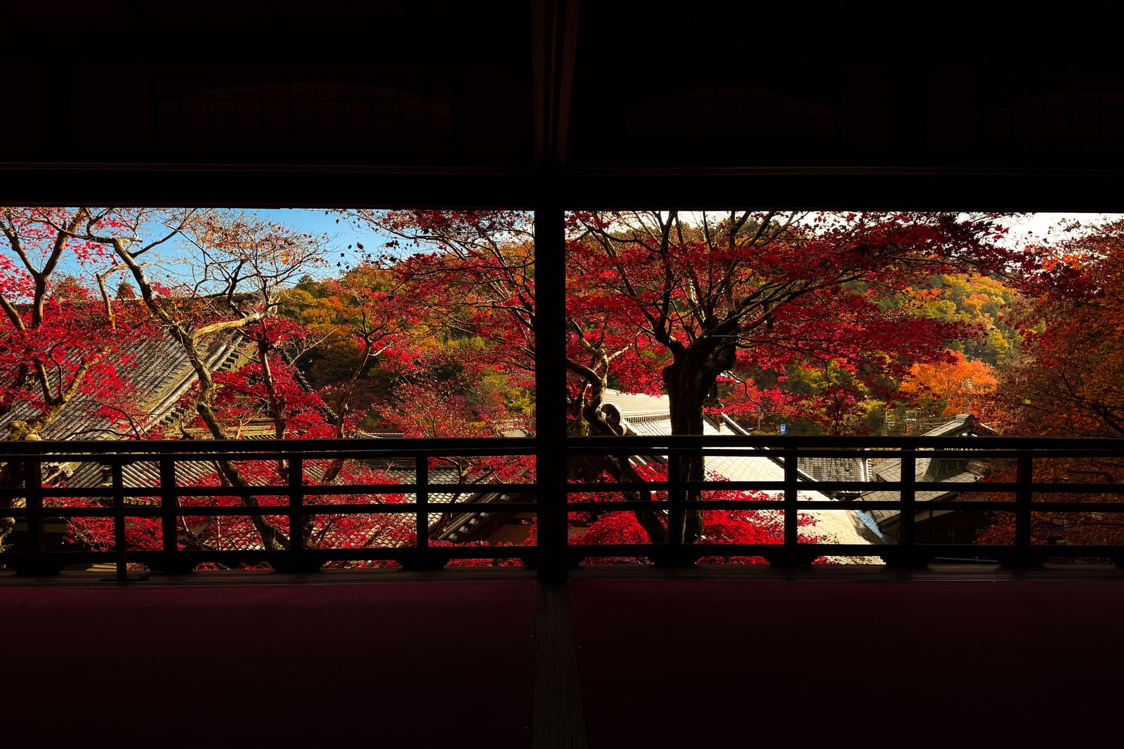 Red and orange maples on a hillside, seen from inside a dark temple hall between a pillar and a wooden railing.