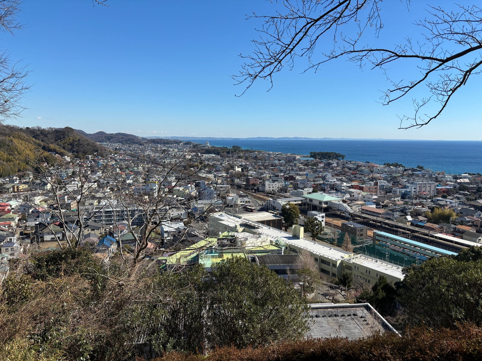A seaside town seen from a hillside through bare branches, rooftops and a railway yard in the foreground and a long headland reaching into a deep blue bay.