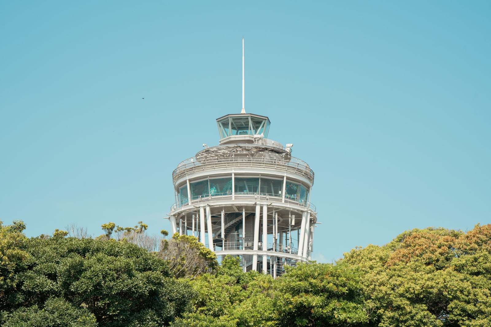 The white glass-ringed tower of the Enoshima Sea Candle rising above green treetops against a clear blue sky.