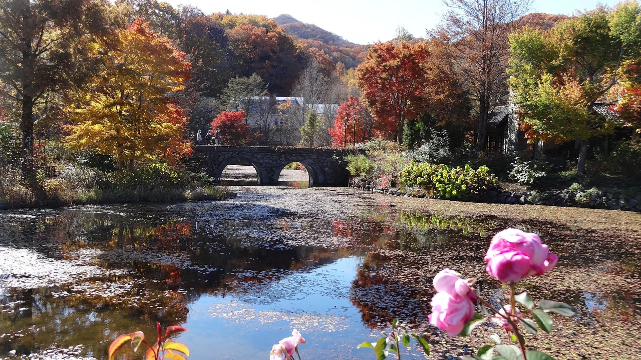 A stone arch bridge over a leaf-covered pond among red, orange and yellow autumn trees