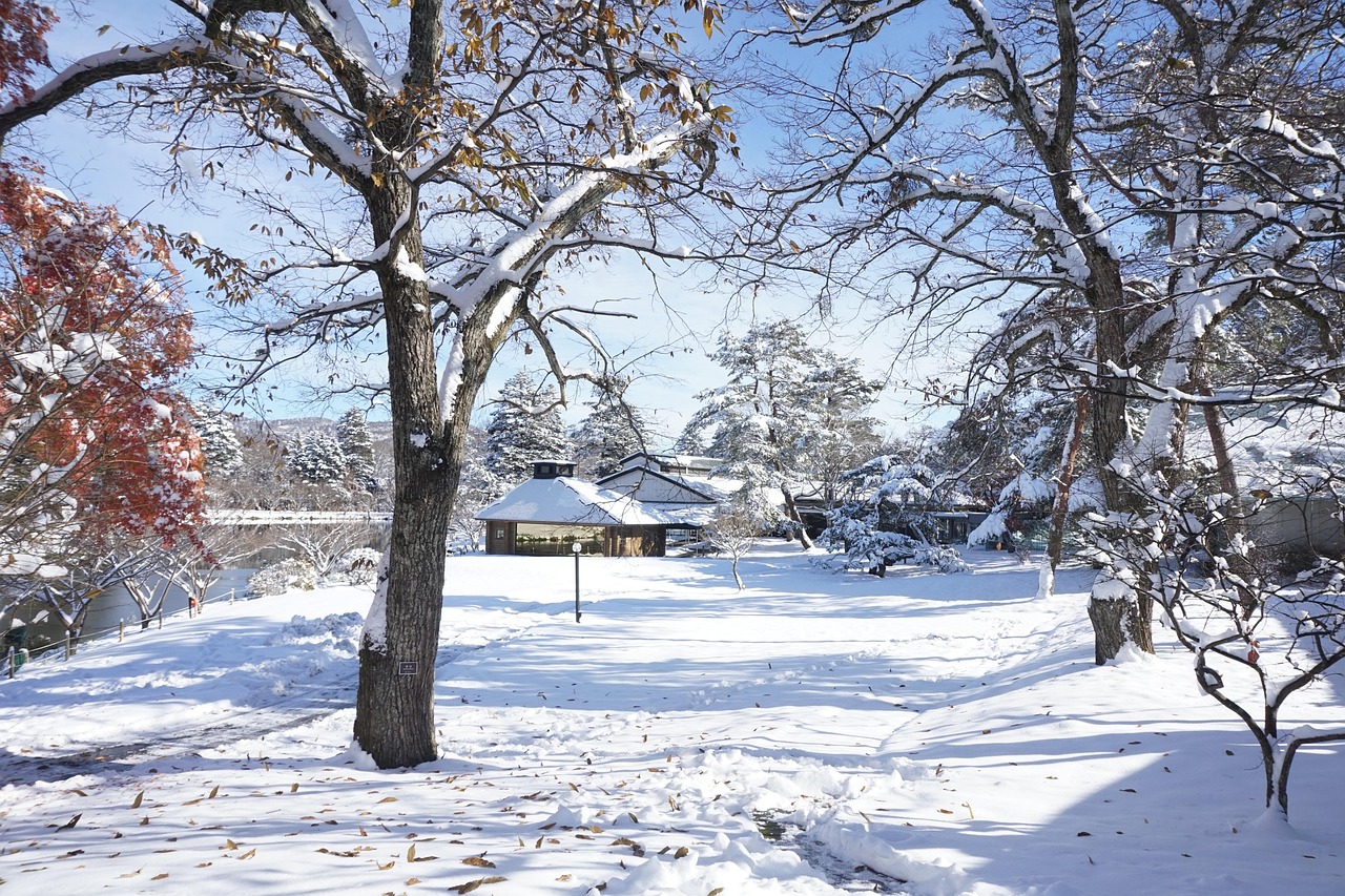 Fresh snow on a park lawn with a low pavilion and a pond under a blue sky