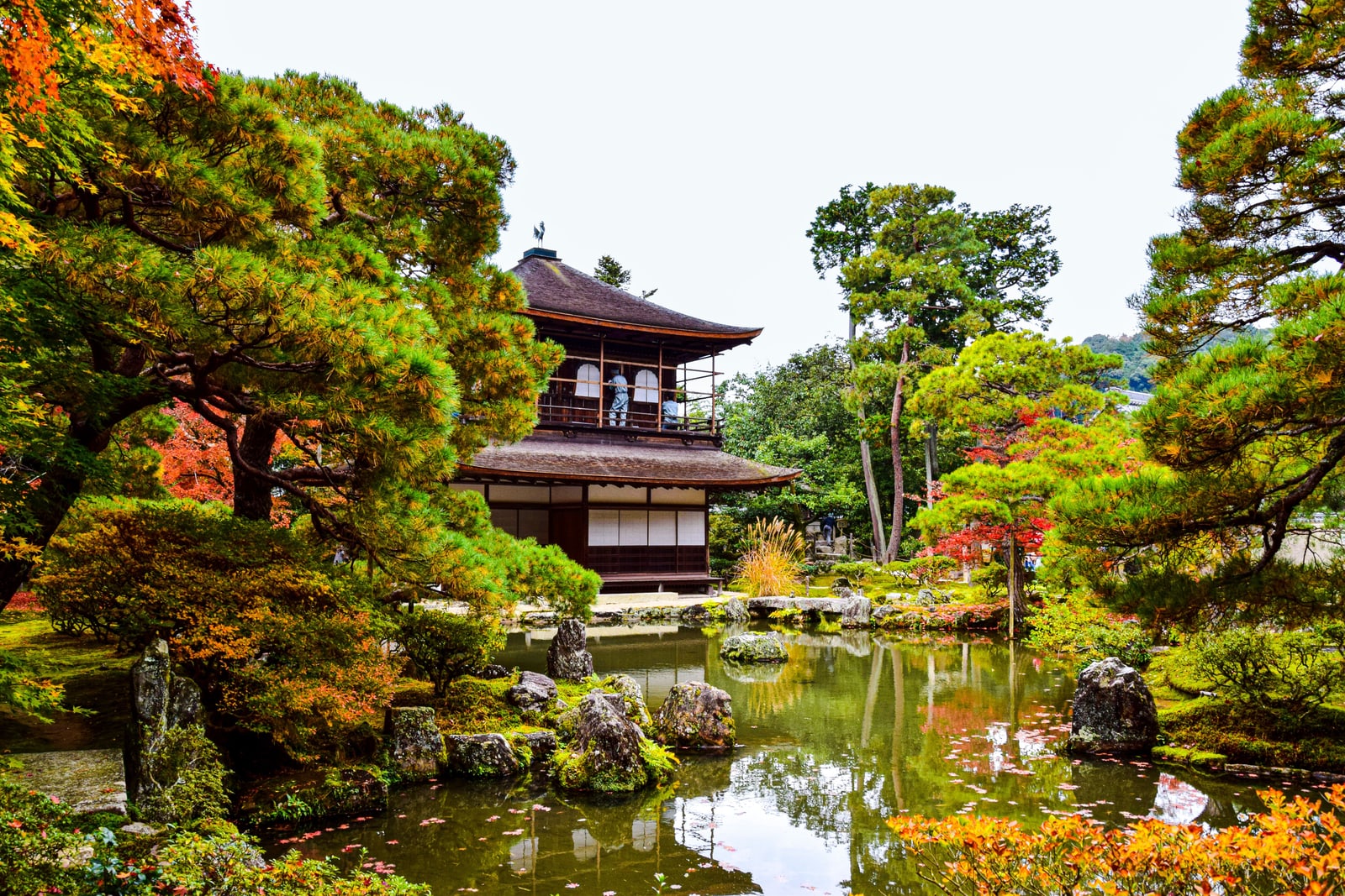 The two-story Ginkaku-ji pavilion behind a garden pond with rocks, pines and red autumn maples.