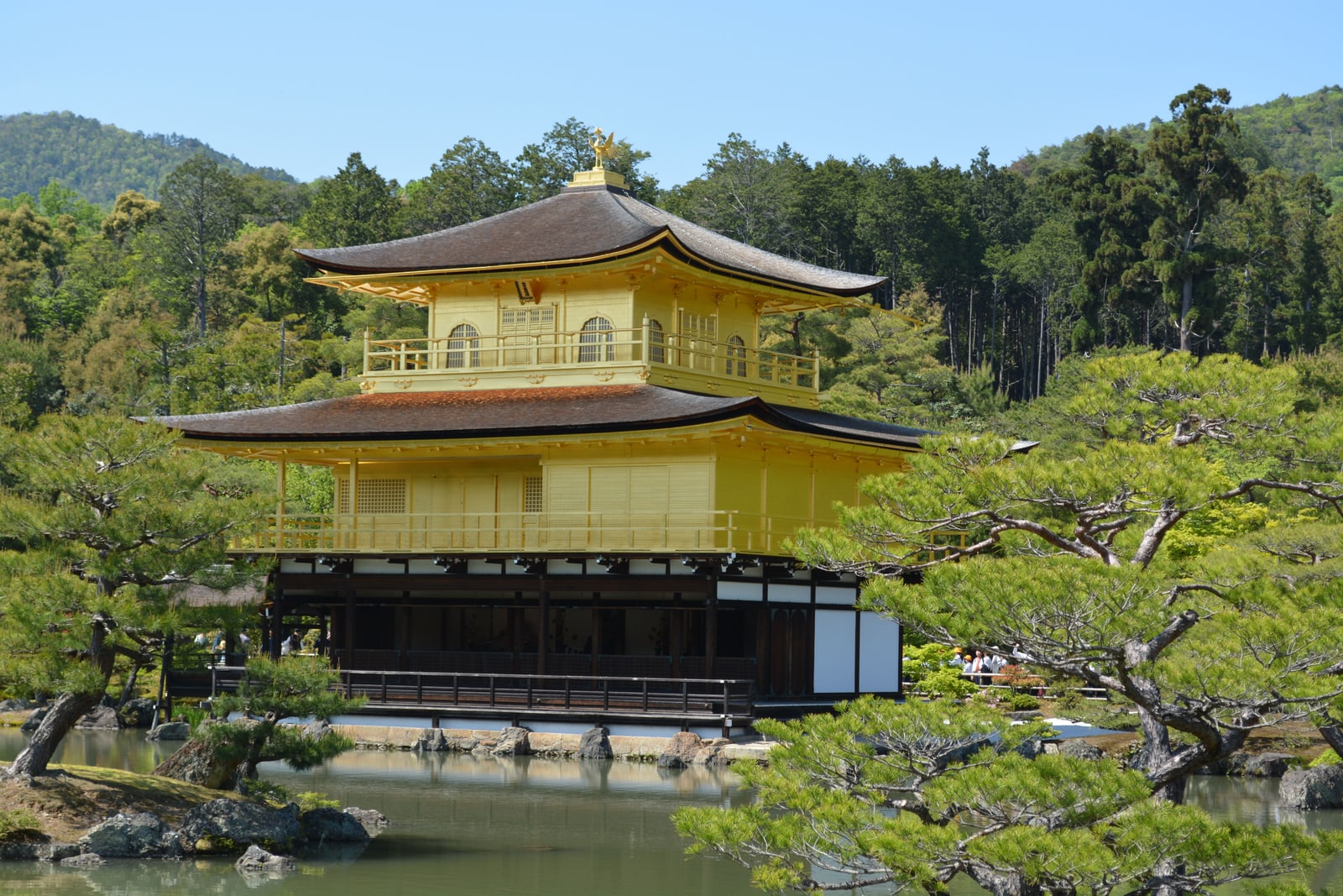 The gold-leafed Kinkaku-ji pavilion across its pond, pines in front and a forested hill behind.