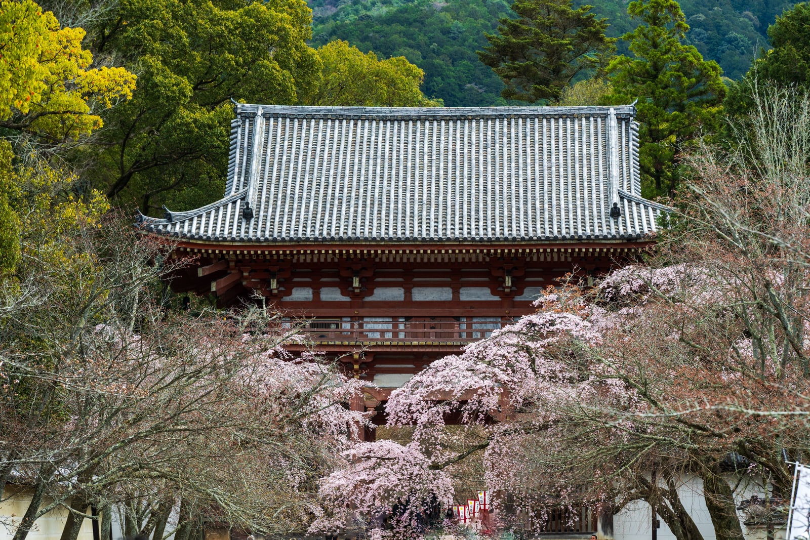 A large two-story temple gate with a heavy grey tiled roof, low pink cherry trees in front and green hills behind.