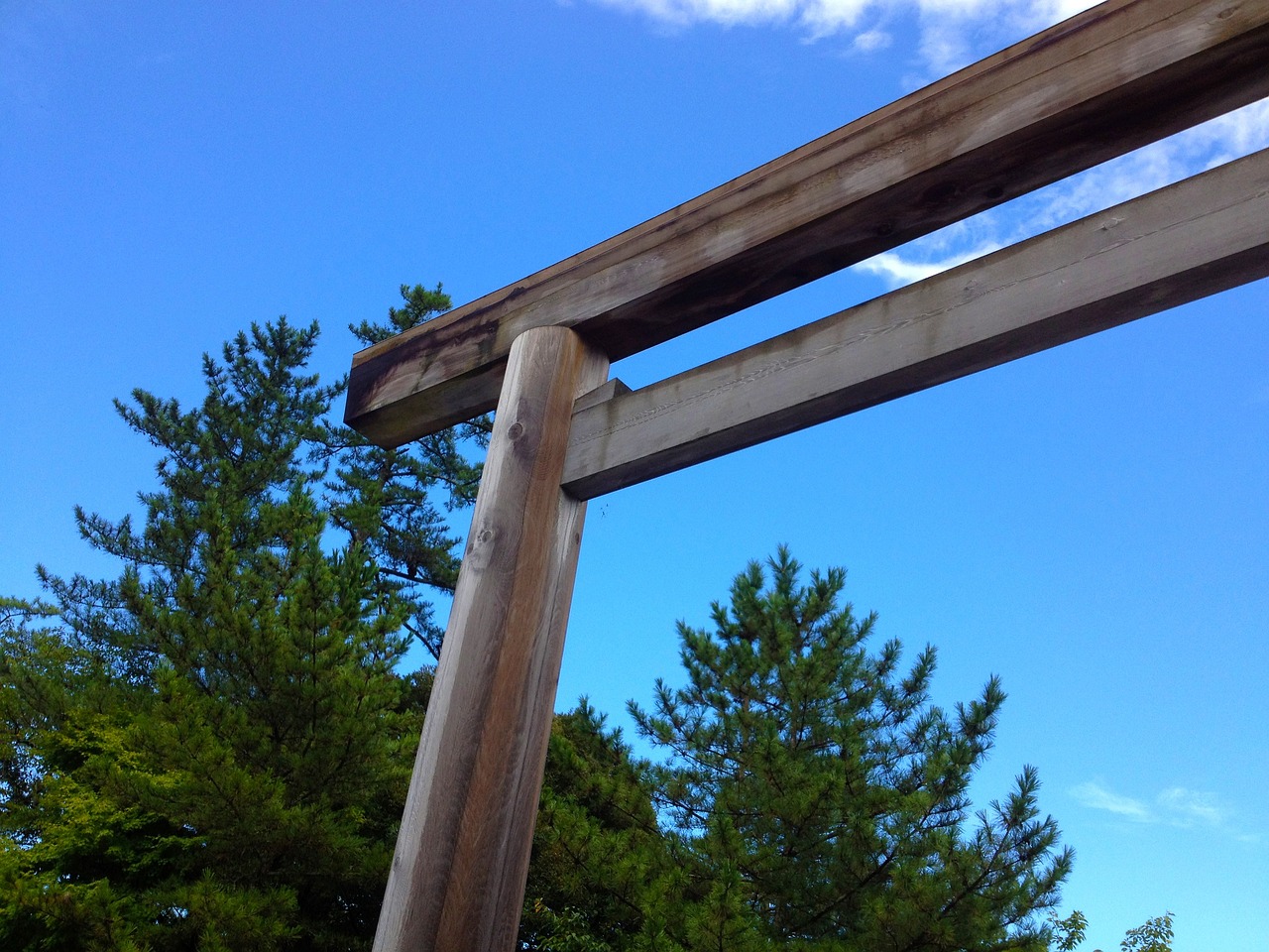 A plain unpainted wooden torii seen from below against a blue sky, with pine trees behind.