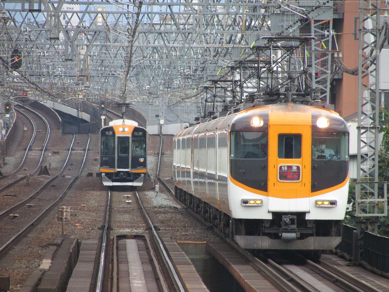 An orange and white limited express and a commuter train approaching side by side under dense overhead wiring.