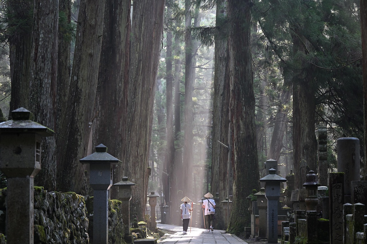Two walkers in white with sedge hats, seen from behind, on a stone path through tall cedars lined with lanterns and memorials.
