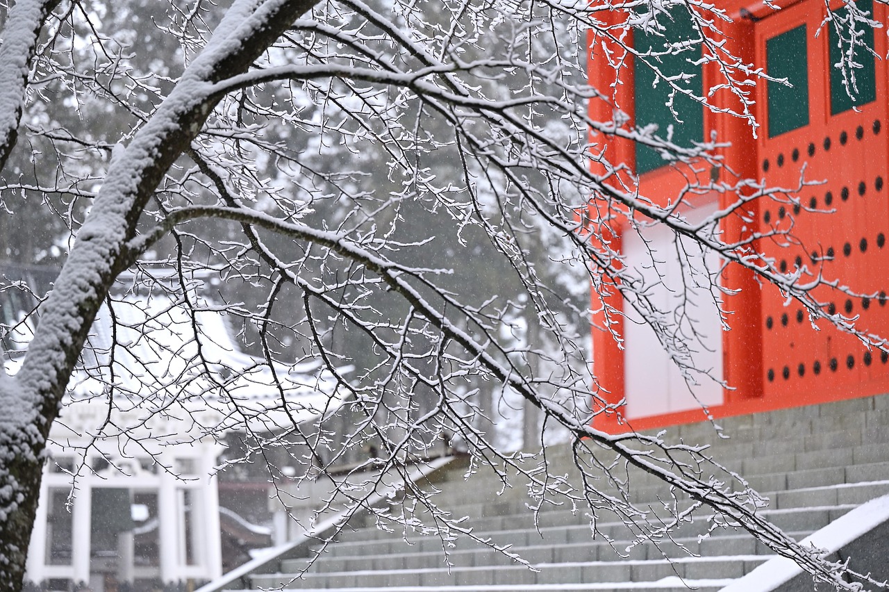 Snow on bare branches in front of a vermilion temple building and snow-covered stone steps.