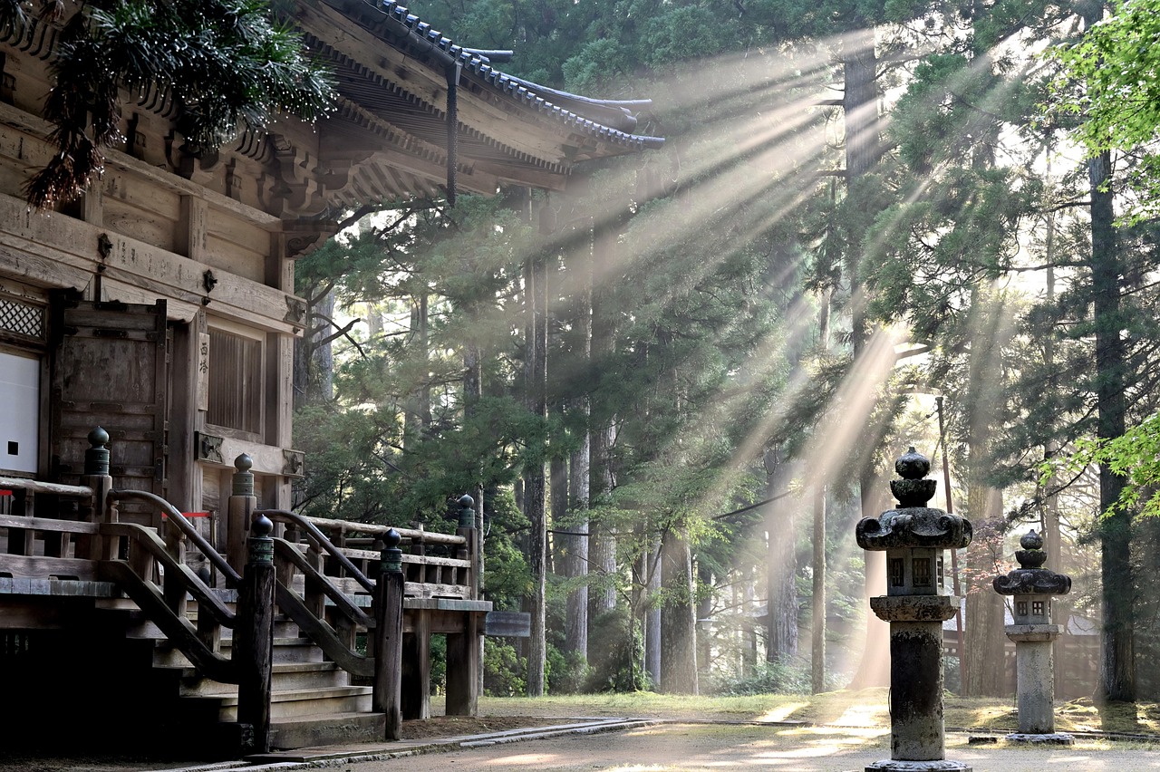 An old wooden temple hall with steps, and stone lanterns, with low sun breaking through cedar mist in rays.