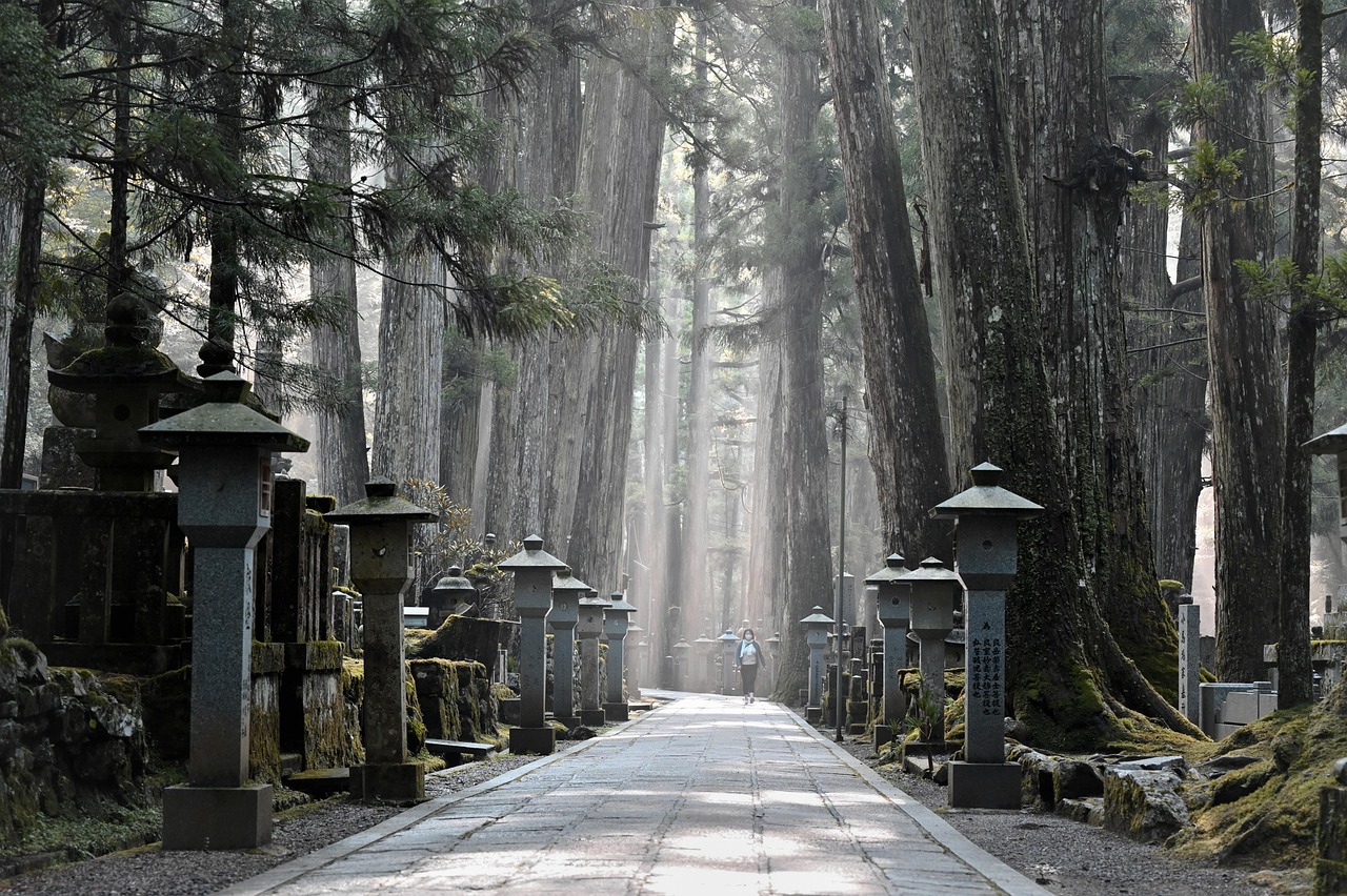 A long stone-paved path between rows of stone lanterns and mossy memorials under very tall cedars, with light falling through mist.