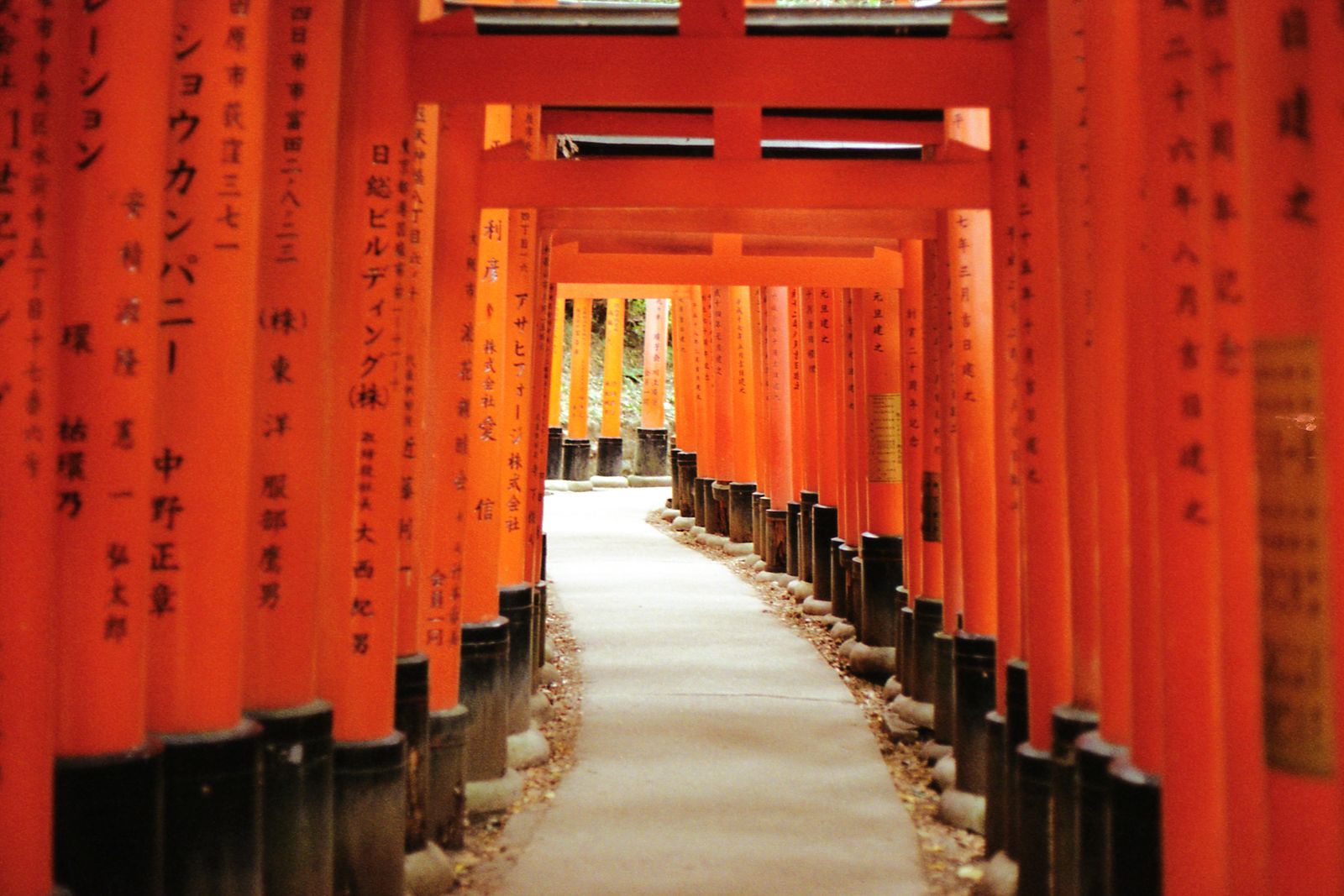A tunnel of vermilion torii gates at Fushimi Inari receding to a bend, the path empty.