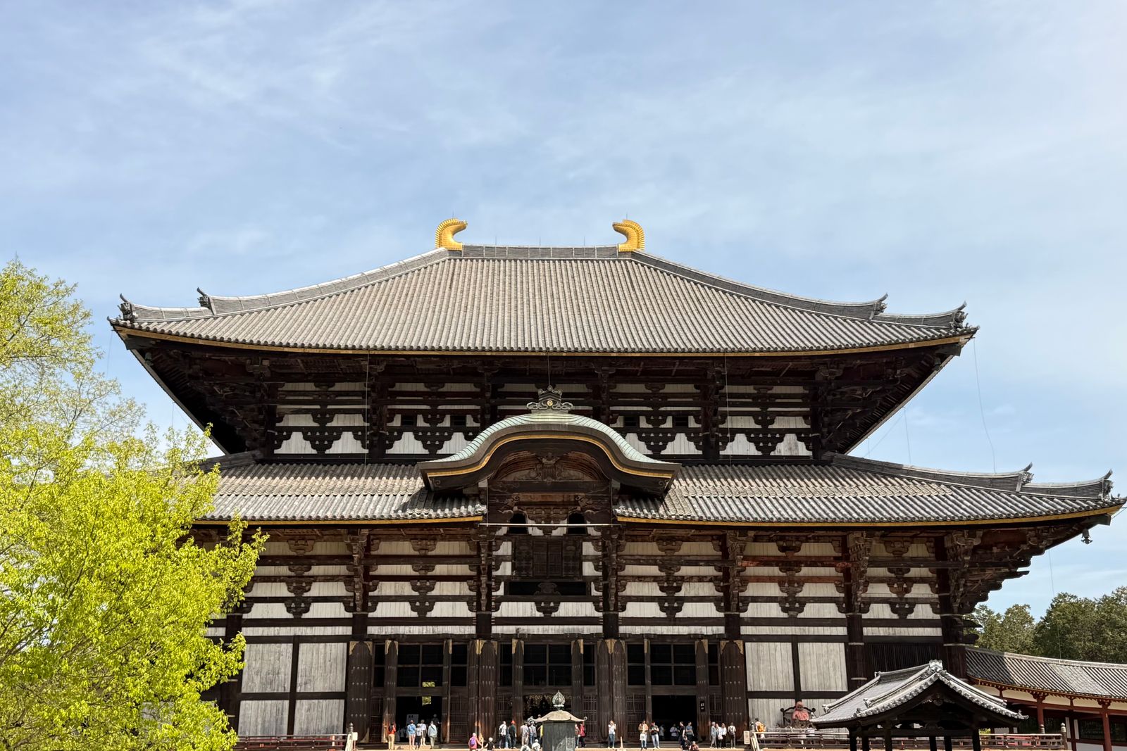 The Great Buddha Hall at Todai-ji in Nara, seen square-on, with a line of visitors at its base and spring foliage at the left.