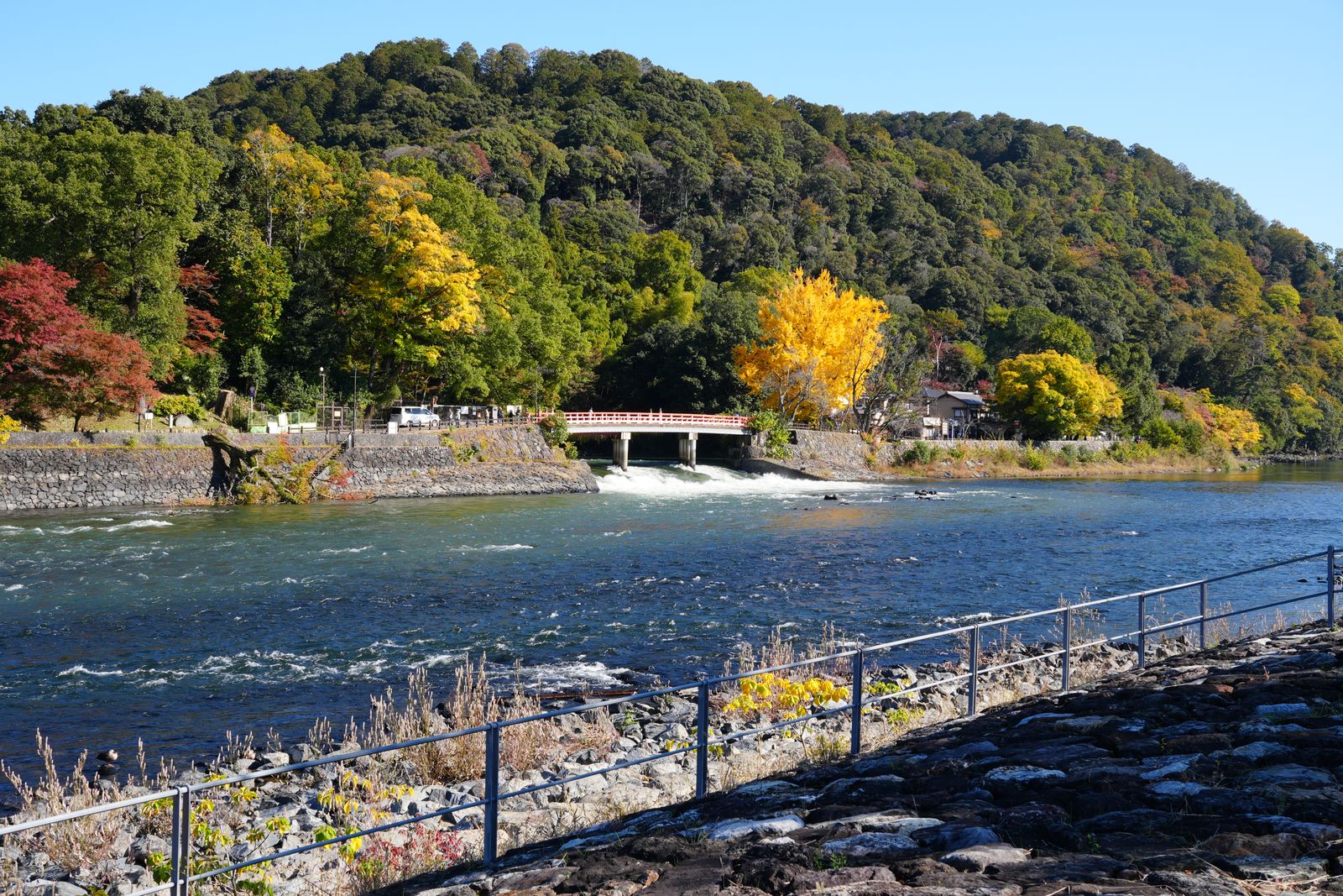 The Uji River running fast over a weir below a wooded hillside in mixed autumn color, a small red bridge on the far bank.