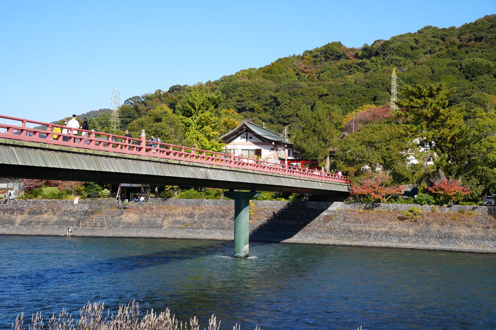 A red-railed bridge over the Uji River in front of a wooded hill, autumn color on the far bank.