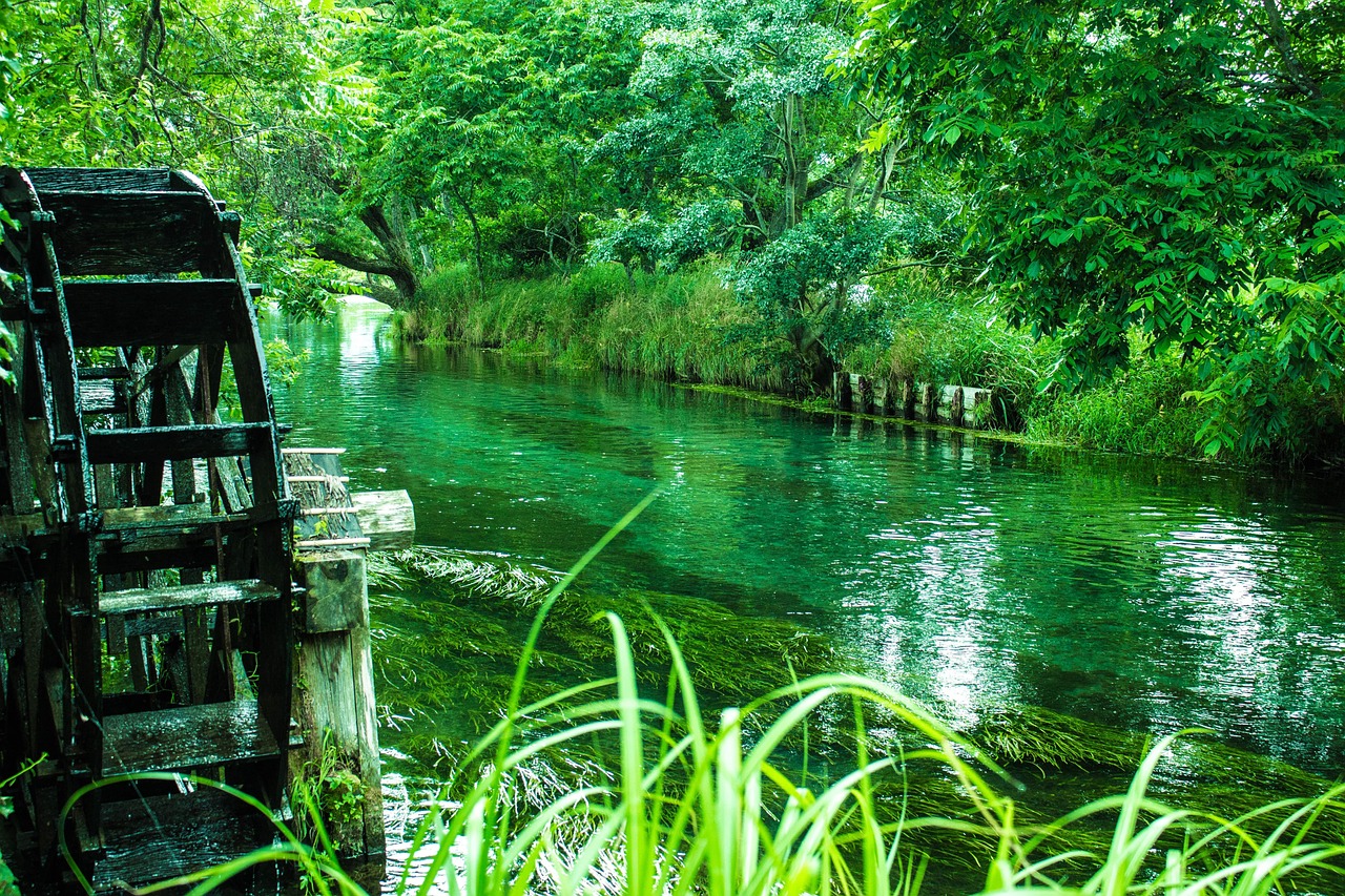 A wooden water wheel beside a clear green stream with waterweed, under summer trees in Azumino