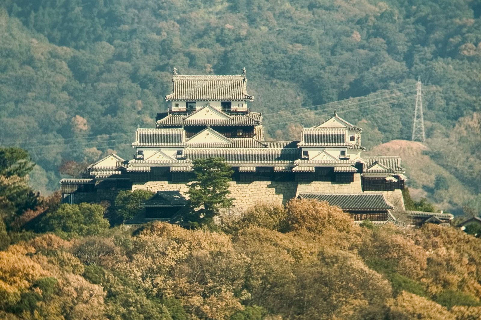 Matsuyama Castle's white keeps and turrets on high stone walls, on a wooded hilltop